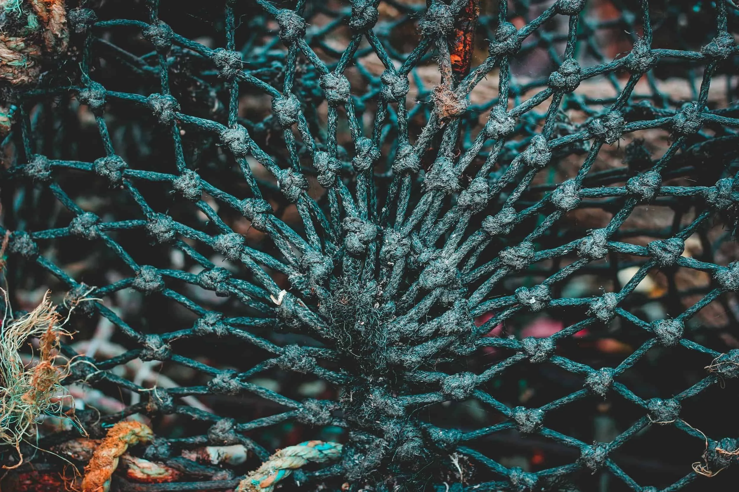 Verbrannter oder verbrannter Gegenstand, wahrscheinlich eine Art Metallgitter, auf dem Boden liegend.