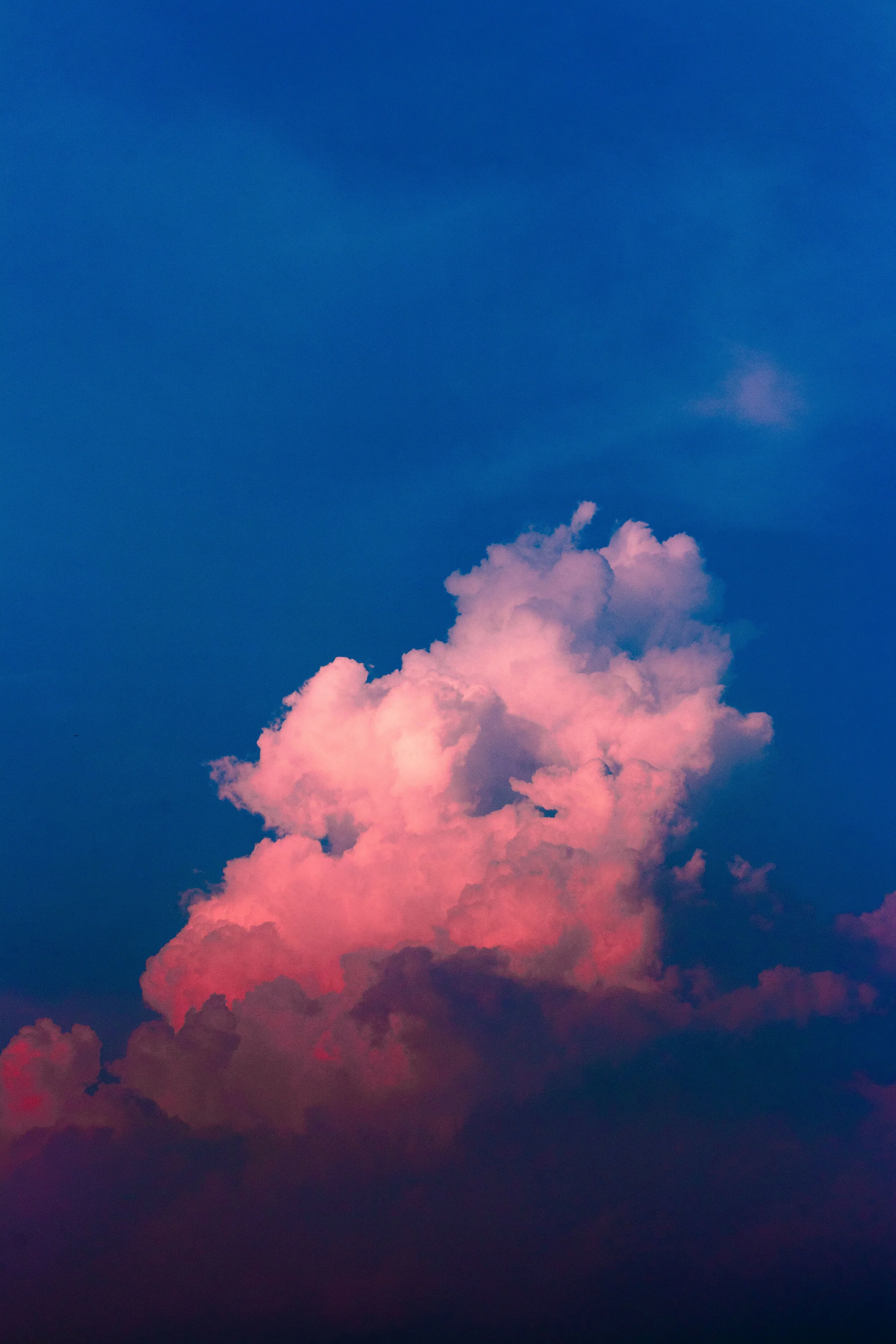 sam-dan-truong-ju2NgSoR6pA-unsplash.jpg