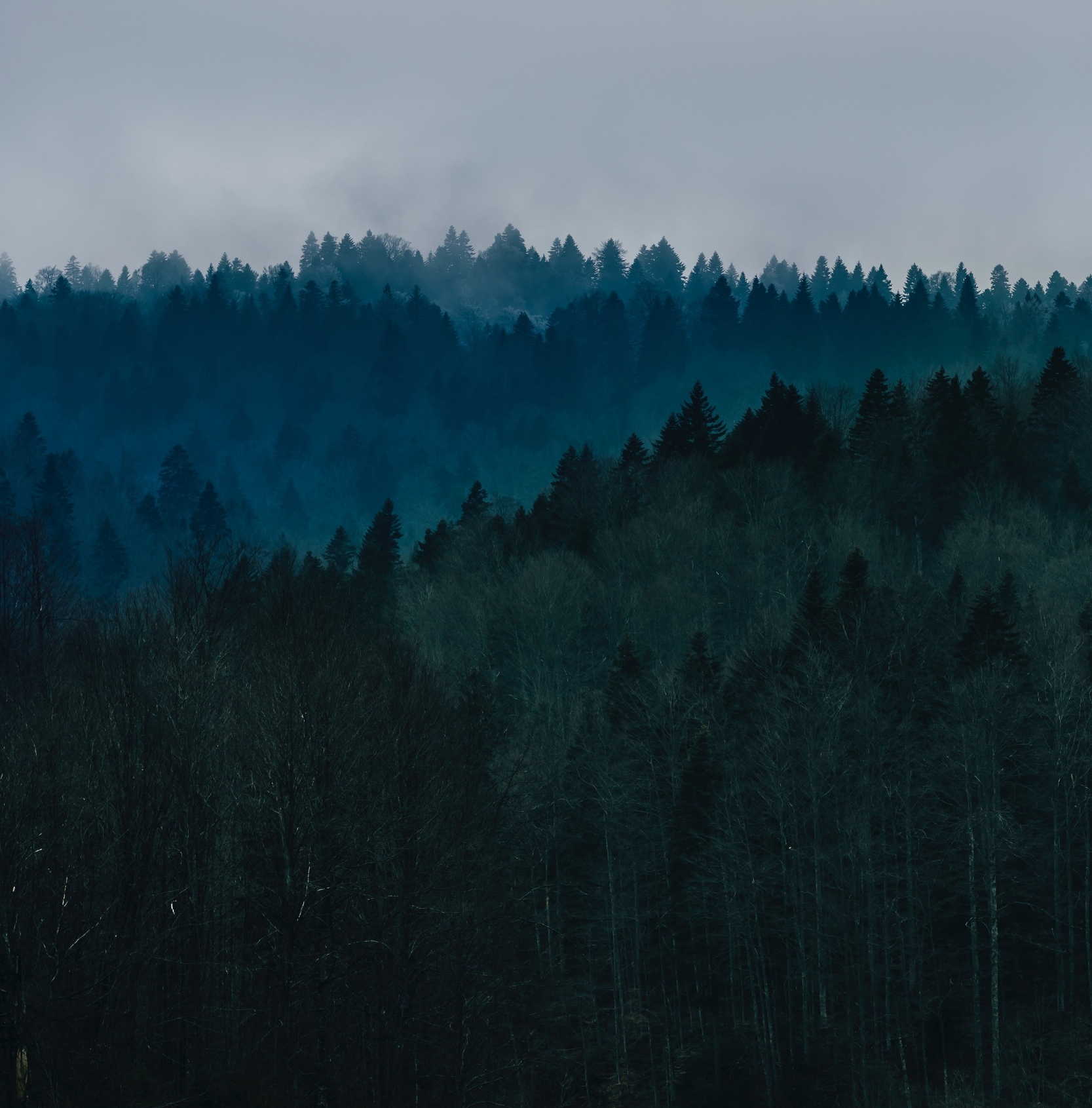 filip-zrnzevic-71049-unsplash.jpg
