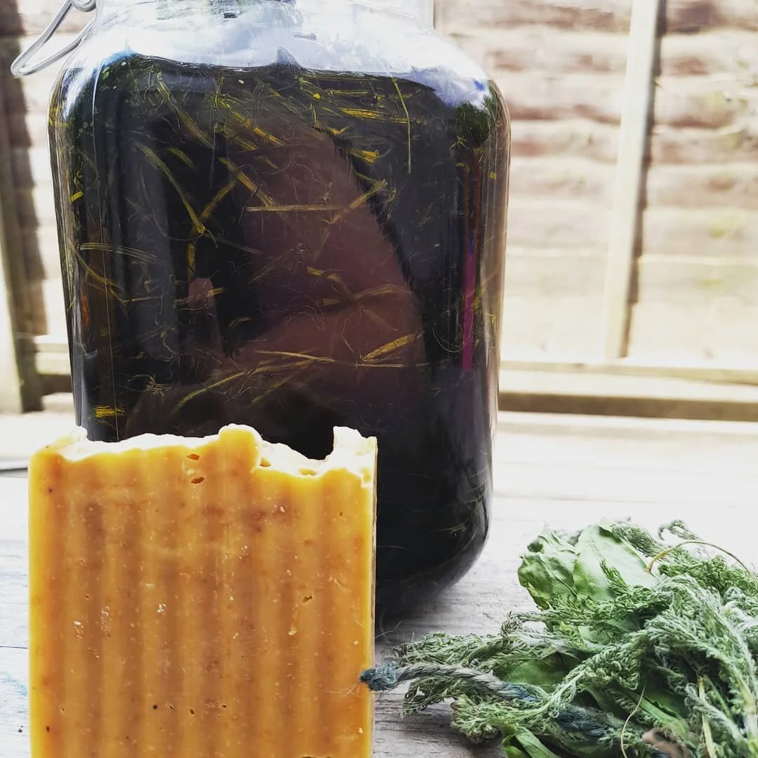 There is a cycle, a process to creating my body care products. It always starts with nature. 
#mothernature #naturalbeauty #earthsmajesty #coldpressedsoap #outdoortherapy #yarrow #plantain #calendula #herbaloil #essentailoils #bekind #loveyourbody #h