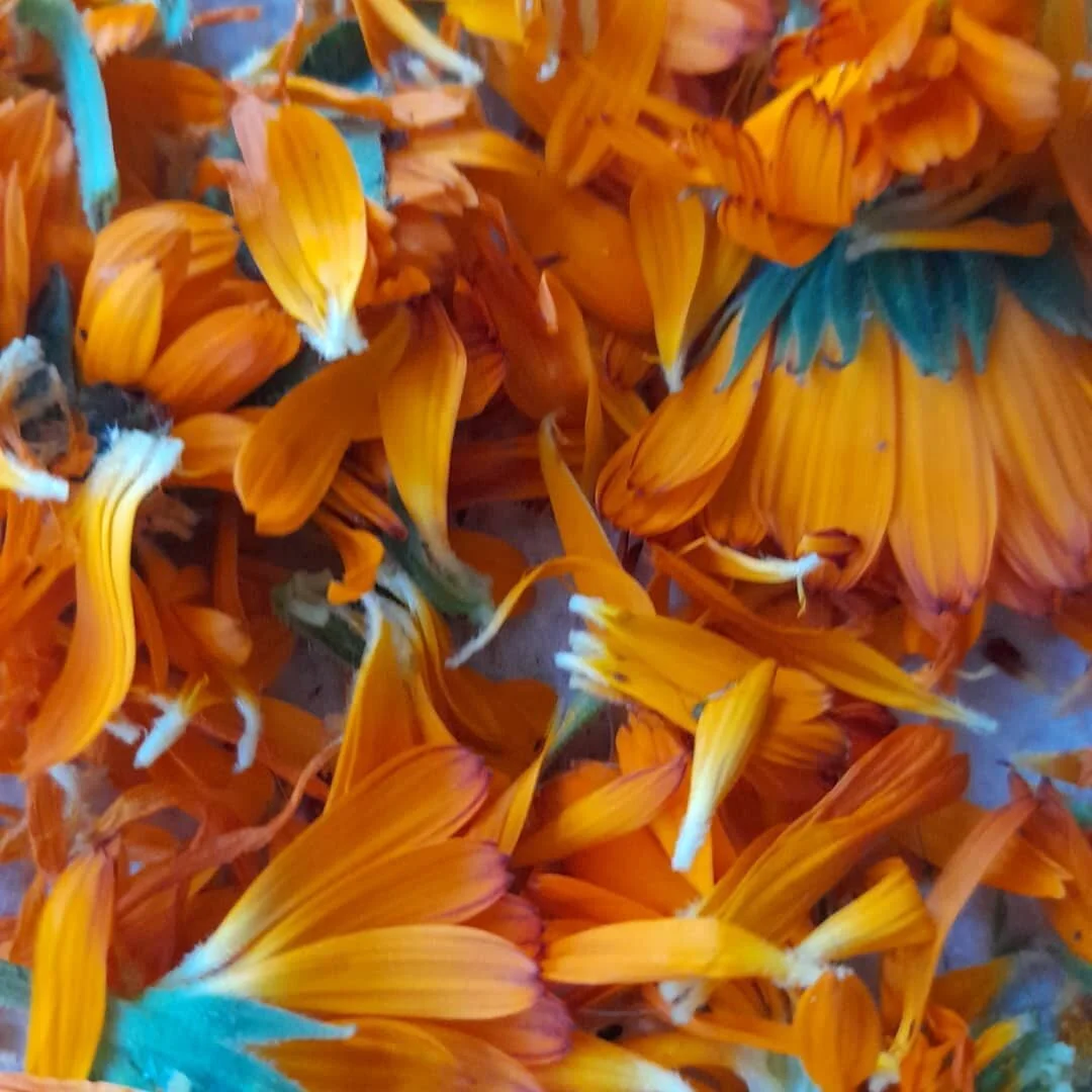 This year is.... I would honestly say, the 1st year  that I have fully combined my knowledge of herbal healing and remedies with my practical knowledge of growing plants in my garden &amp; seasonal foraging. 
 
I have been Creating herbal, Heart craf