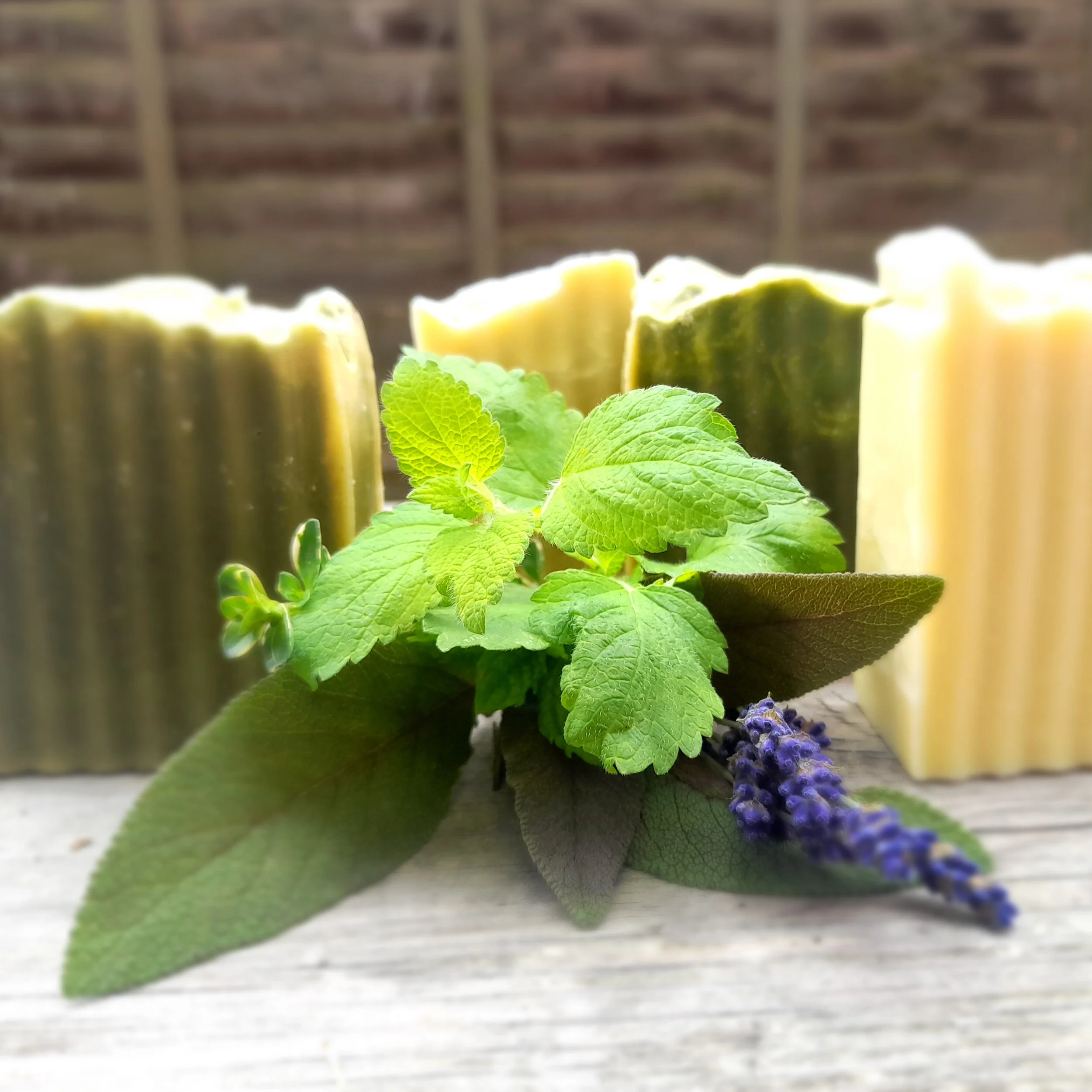 Gentle_Star_Everyday_Garden_Soap.jpg