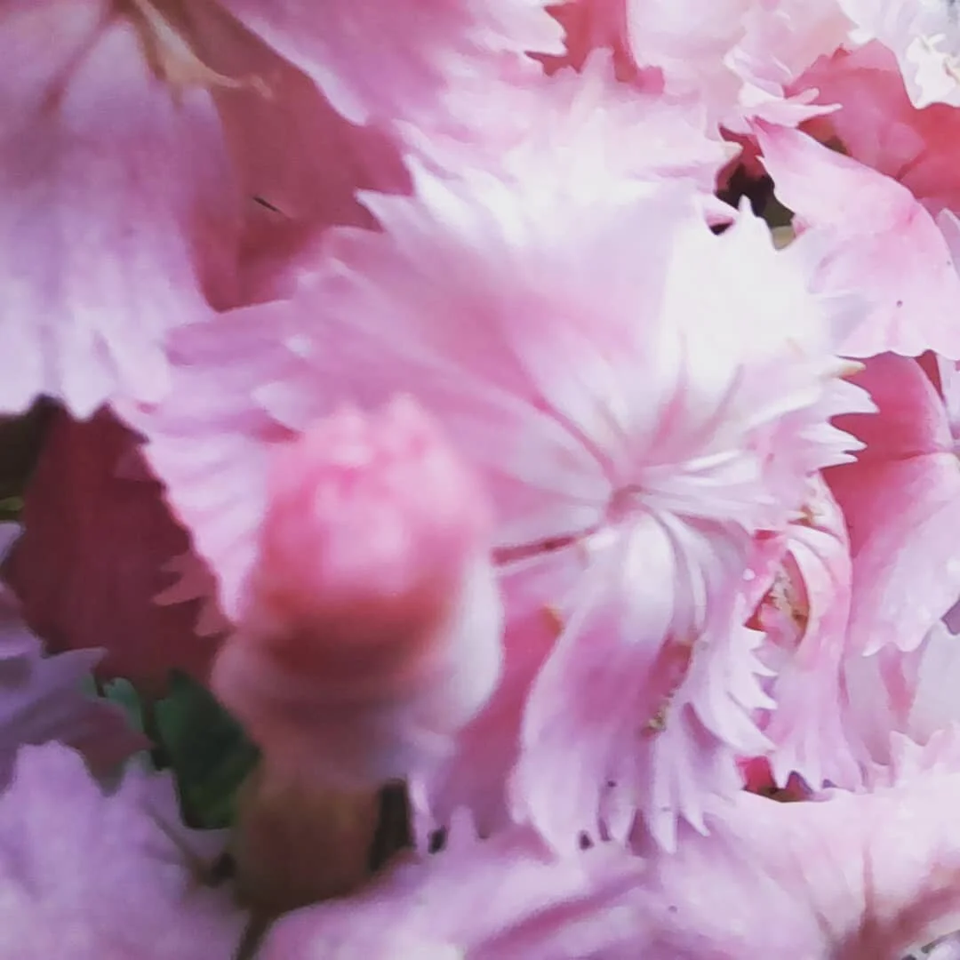 Natures is beautiful, inspiring if you spend enough time connecting to her.