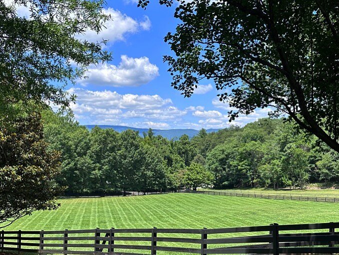 Just another day in the office 😏

#officeviews #landscaping #linework #mowing #pruning #greenindustry #roanokeva #roanokelandscapes