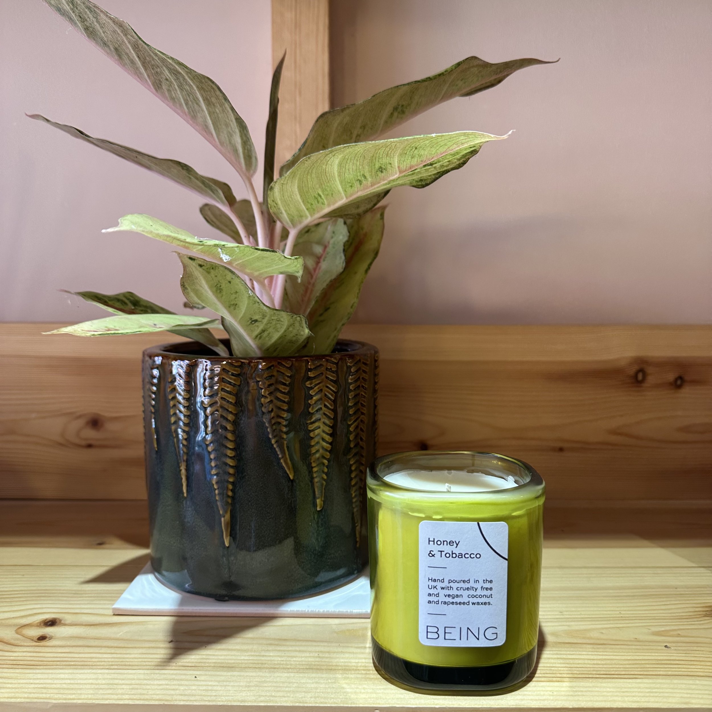 Honey & Tobacco