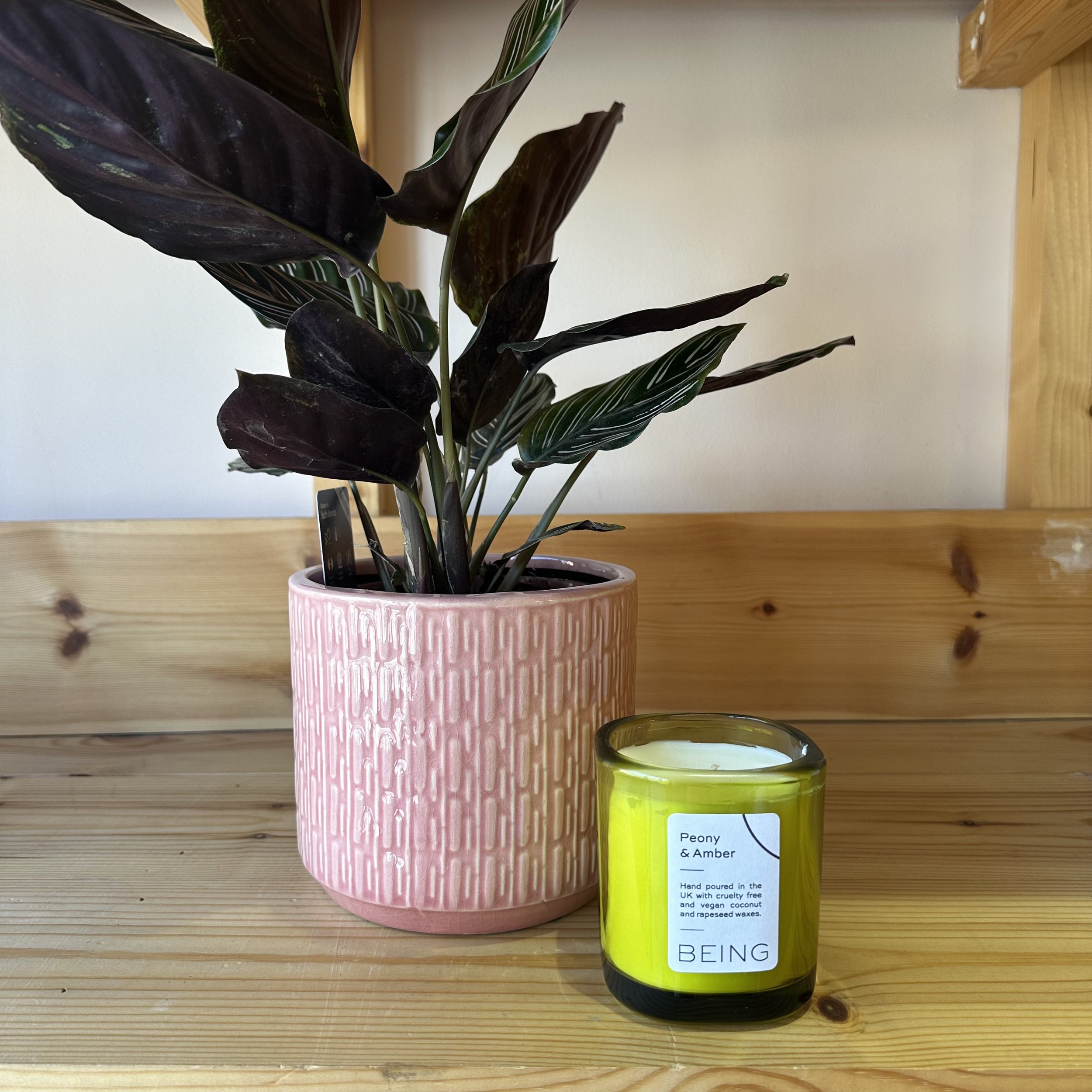 Peony & Amber