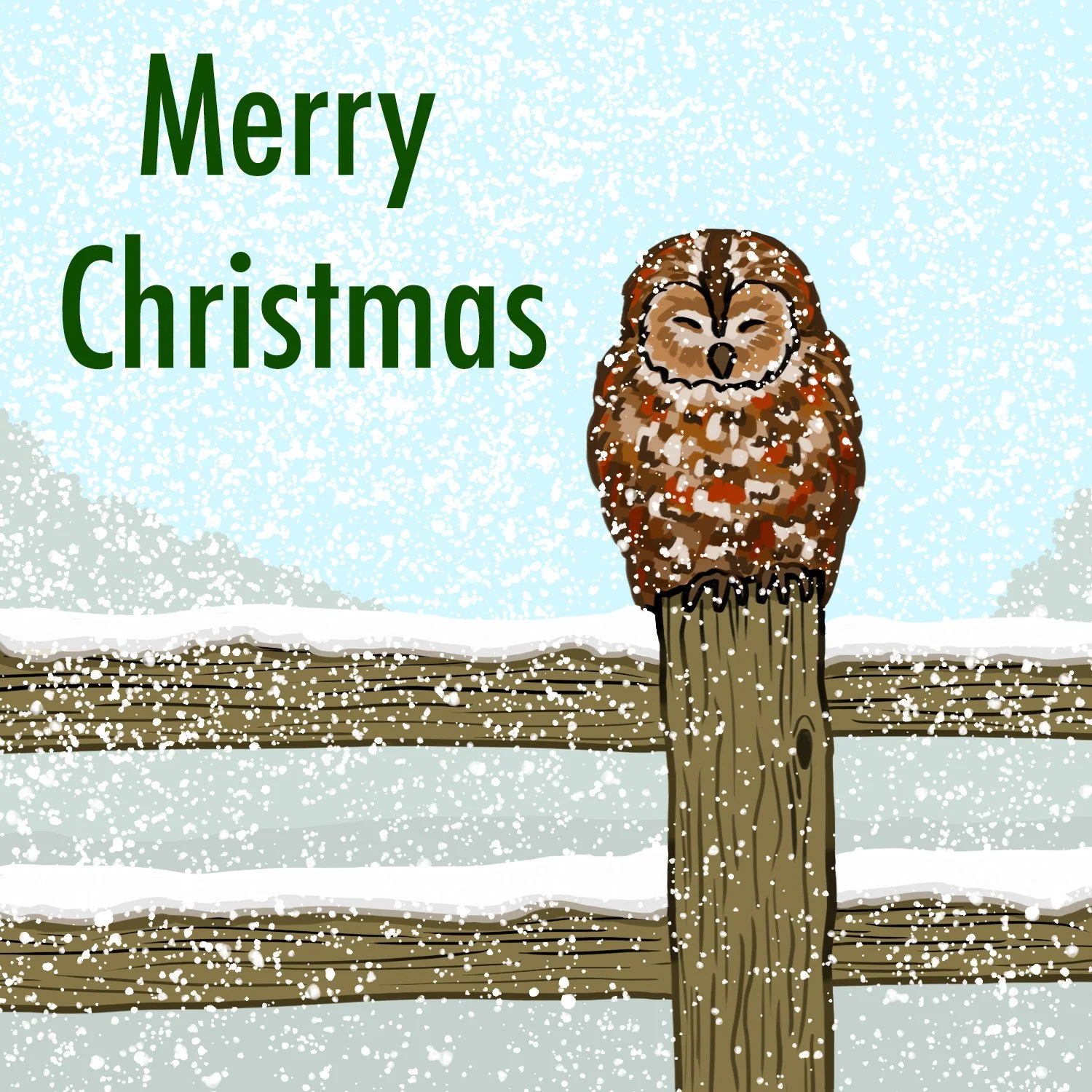 christmas owl copy.jpg