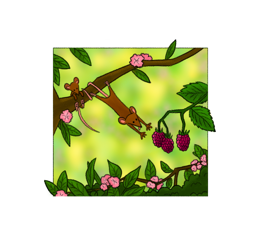 spring mice 3.png