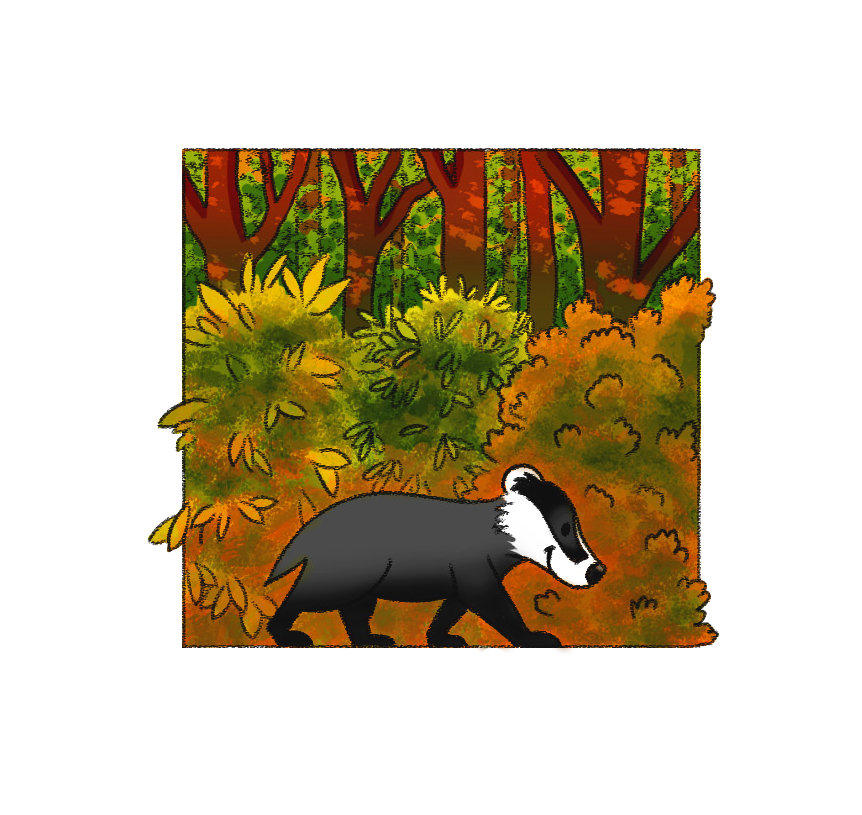brighter badger.png