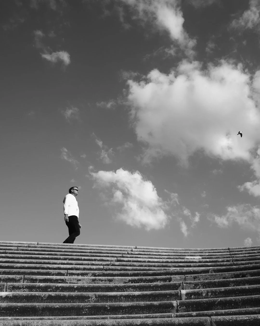 Ein Mann in Sonnenbrille steht auf einer Treppe im Freien, während der Himmel mit Wolken und einem fliegenden Vogel im Hintergrund zu sehen ist.