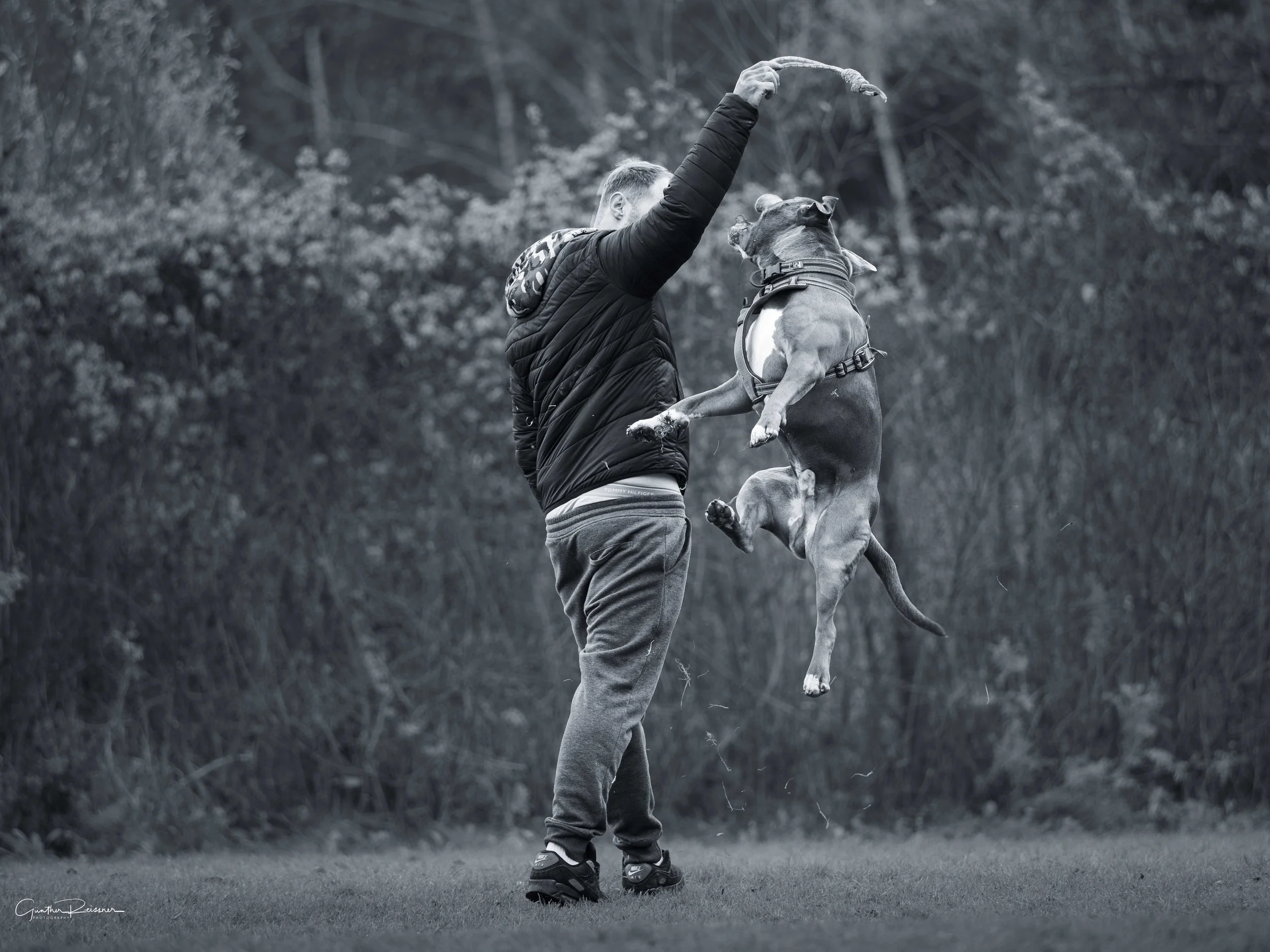 Mann spielt mit Hund auf Rasen im Freien, Bäume im Hintergrund, schwarz-weiße Fotografie.
