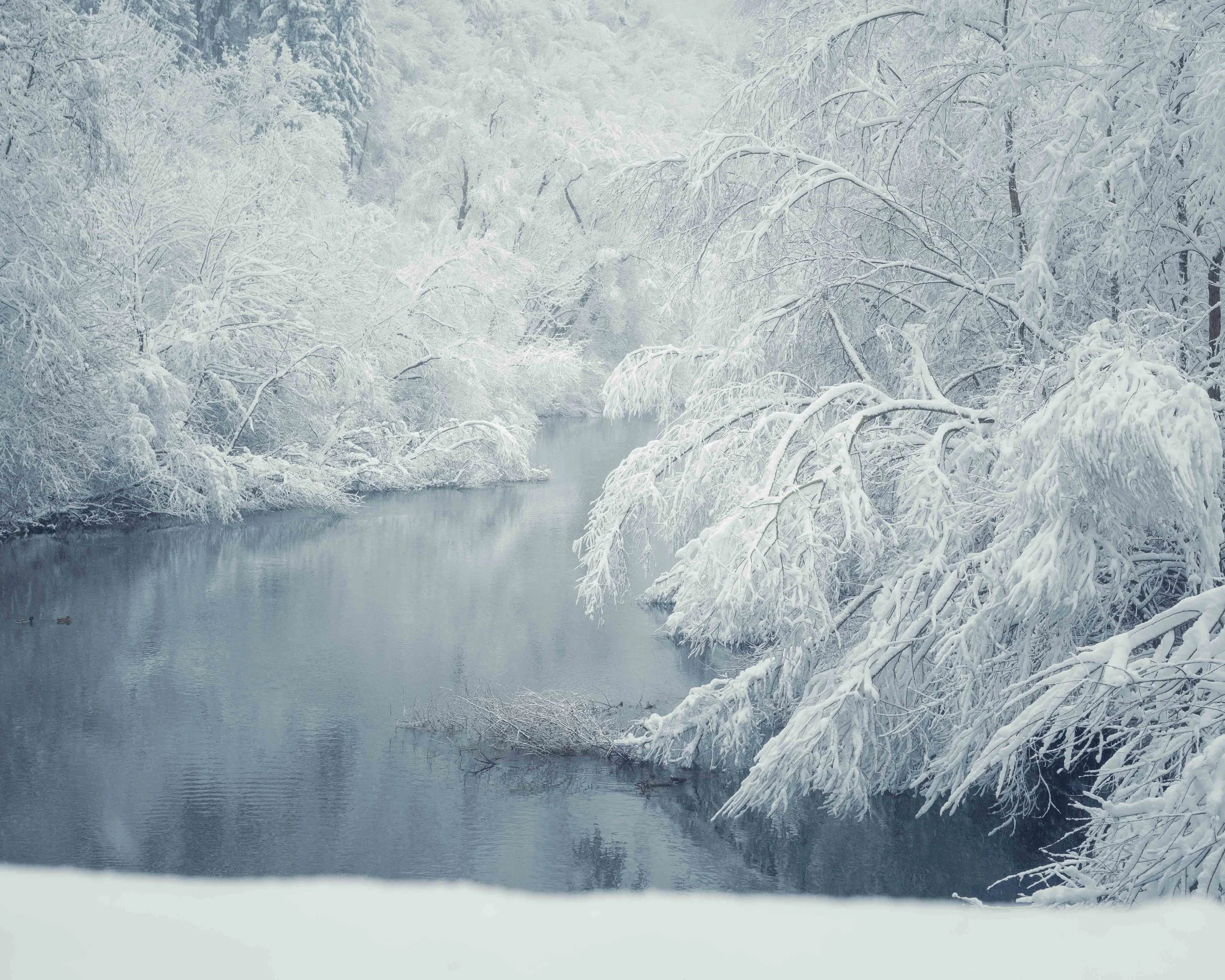 Ein verschneiter Fluss, umgeben von Bäumen, die mit Schnee bedeckt sind, in einer Winterlandschaft.