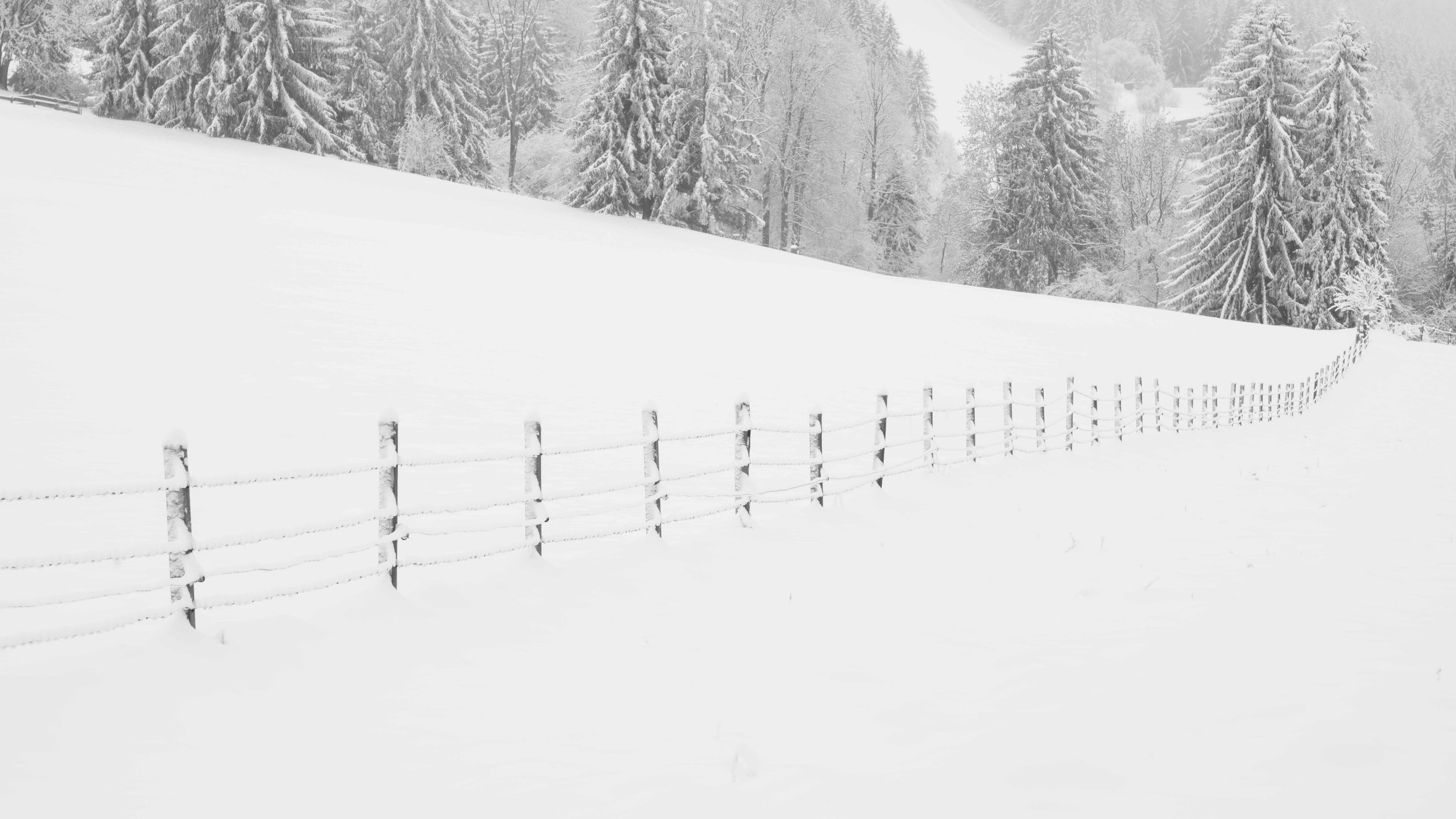 Schneebedeckte Landschaft mit einer Holzsichtzaun entlang eines Hügels und Schneebäumen im Hintergrund.