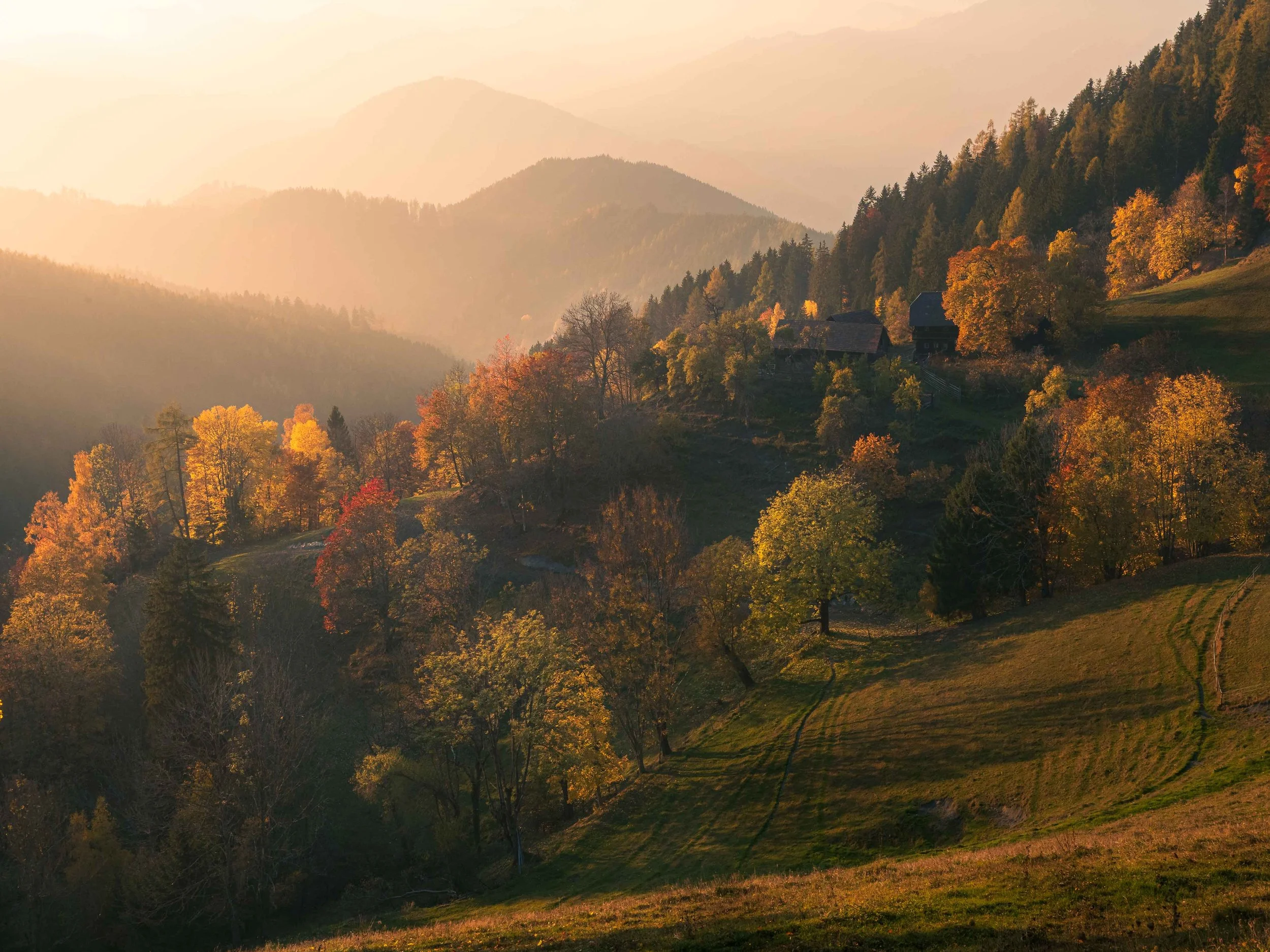 austria_frauenberg_herbst.jpg