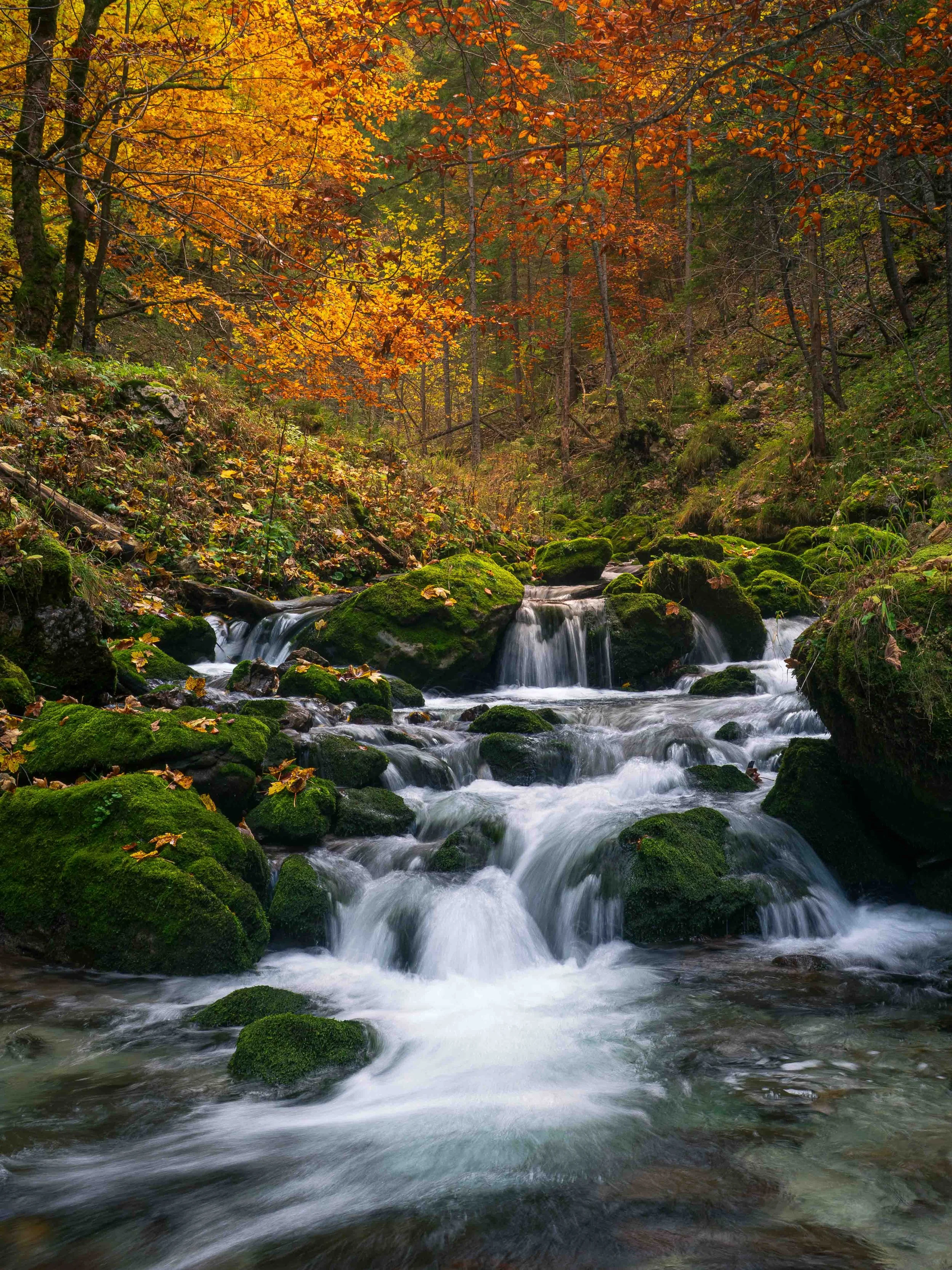 herbstbach_neu_1.jpg