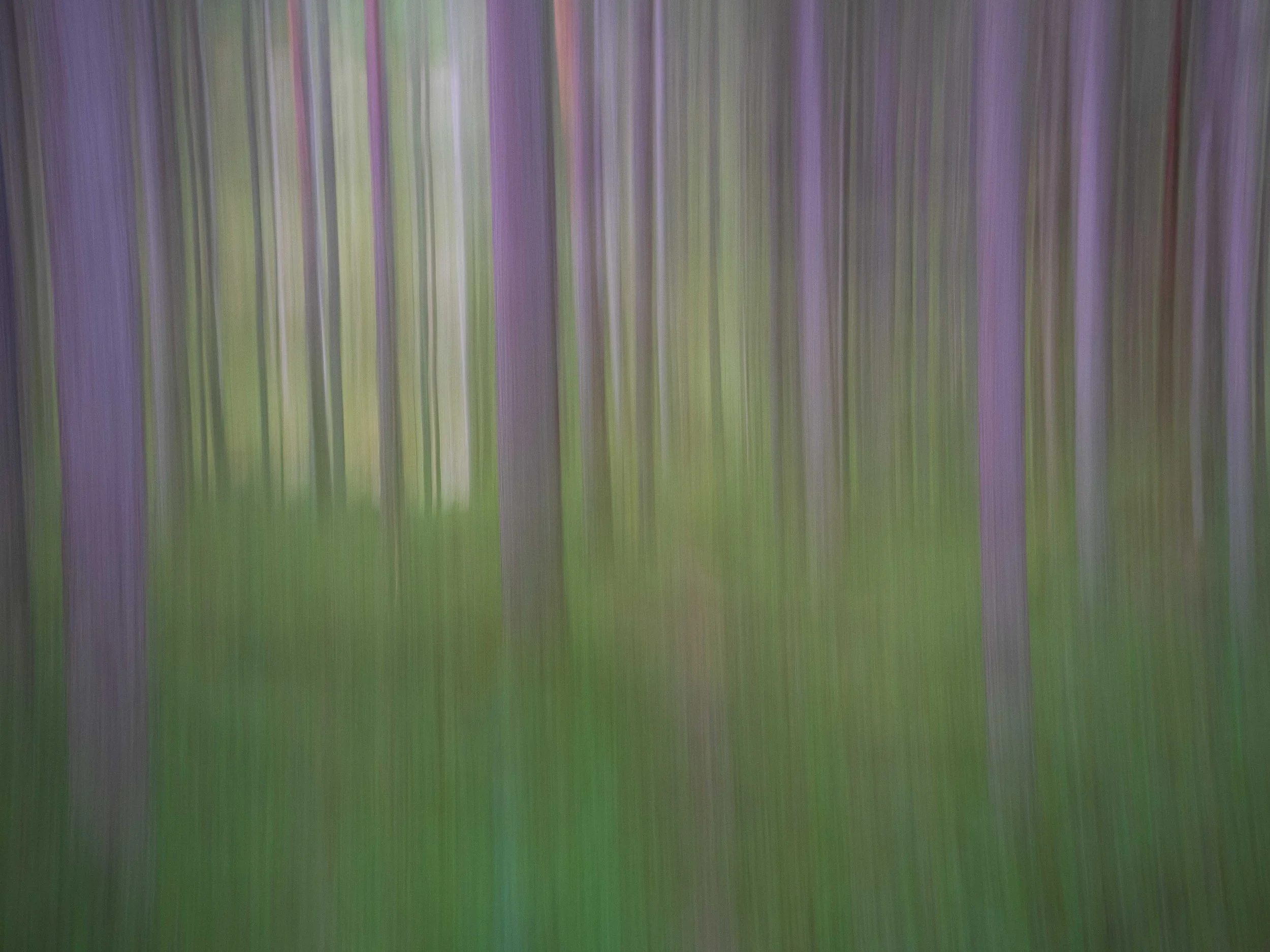 icm 1.jpg