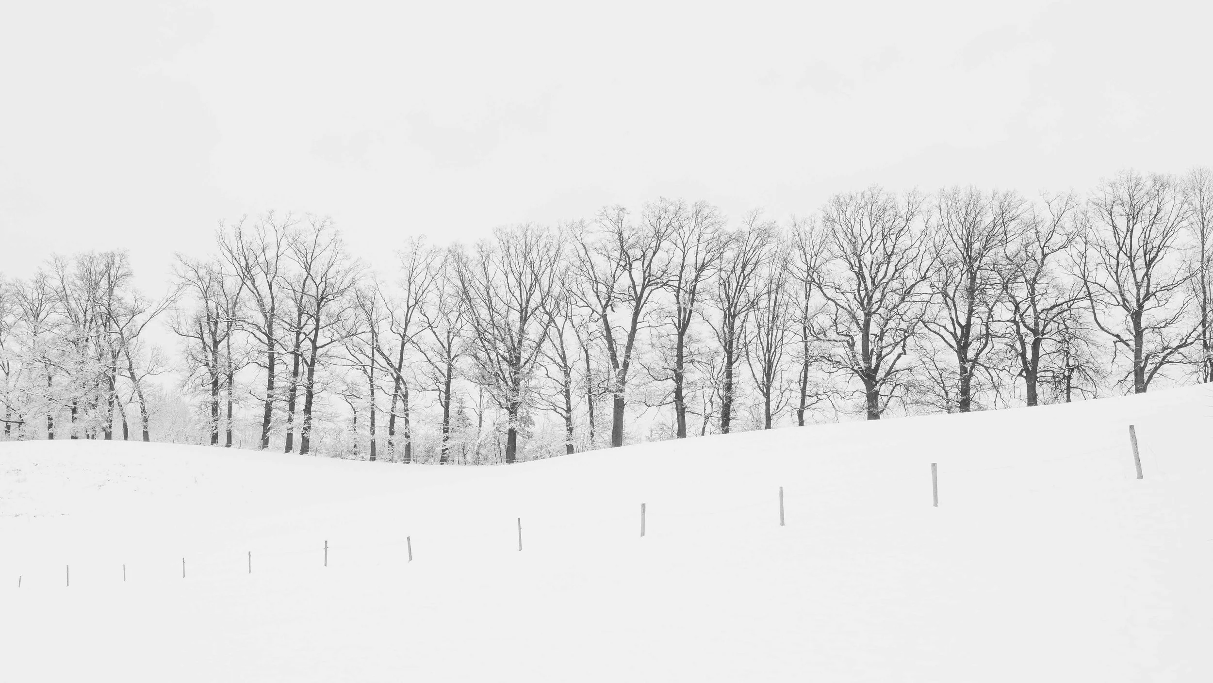 Eine verschneite Winterlandschaft mit einer Reihe von kahlen Bäumen im Hintergrund und einem Hügel mit einer Schneedecke im Vordergrund.