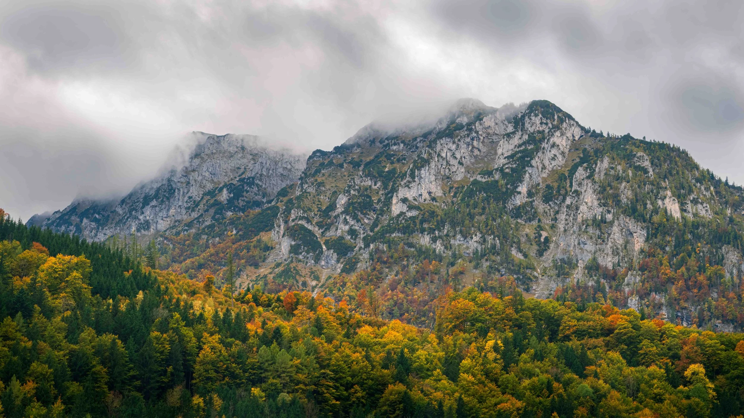 herbst_leopoldsteinersee.jpg