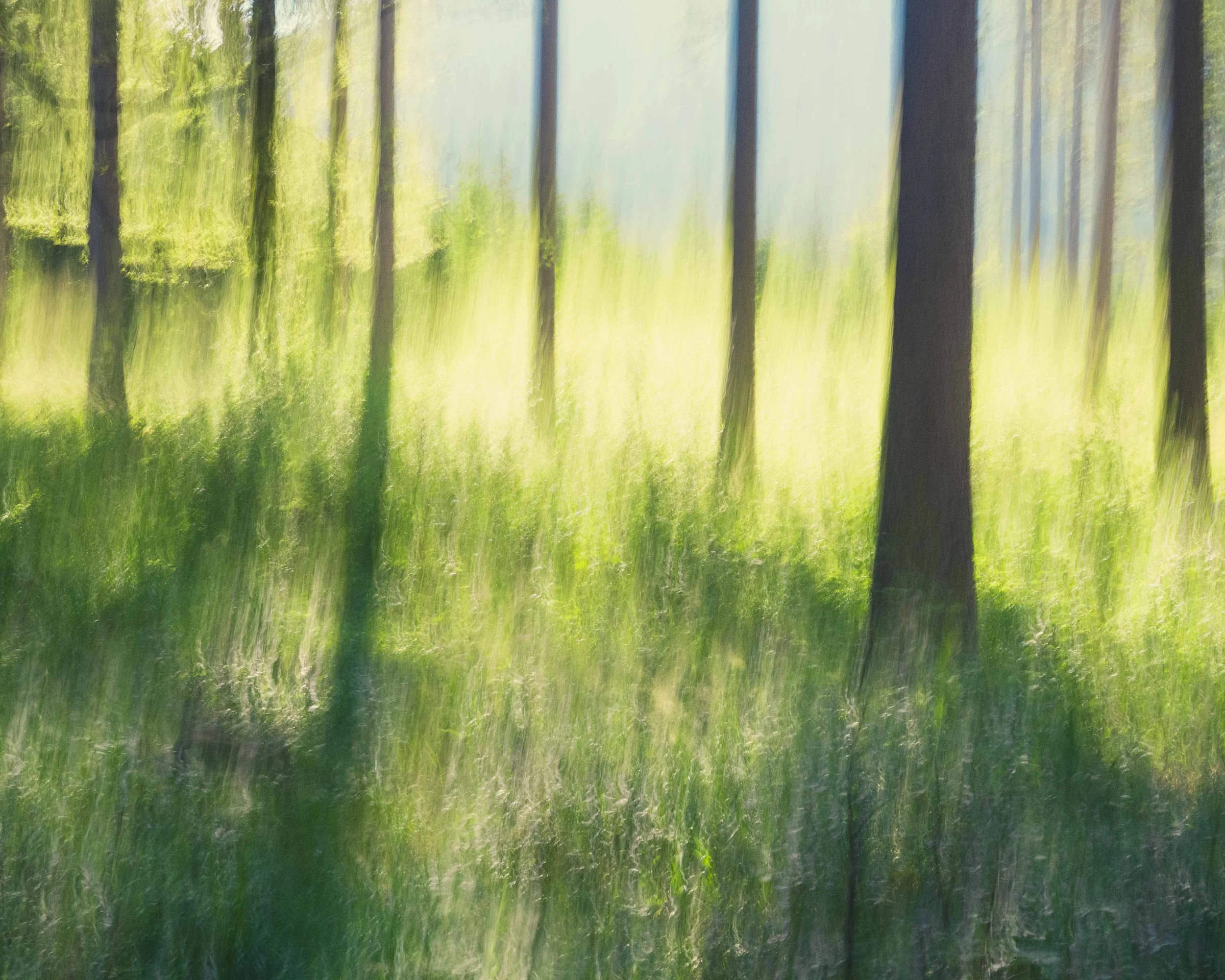 icm 2.jpg