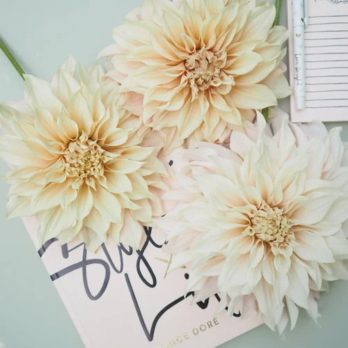 Why I love flat lays