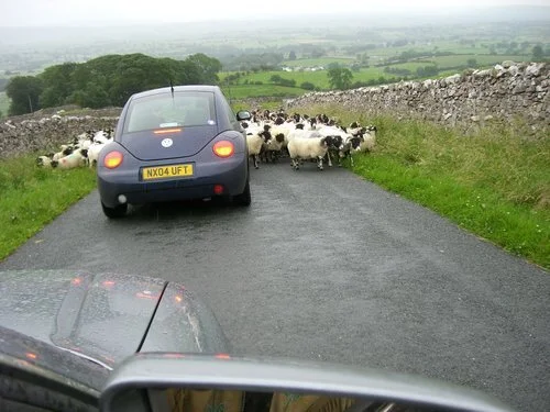 My love affair with Yorkshire