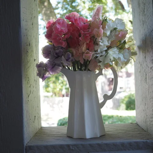A recap of our garden in 2018 and dreams of 2019 gardening
