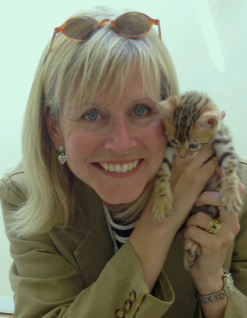 Memories of Jasmine, our sweet Bengal cat.