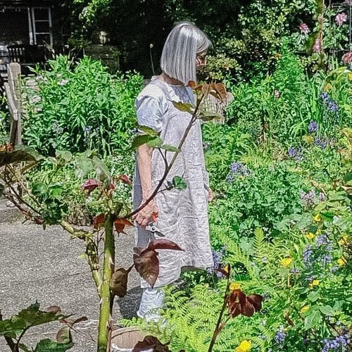 Early summer garden highlights