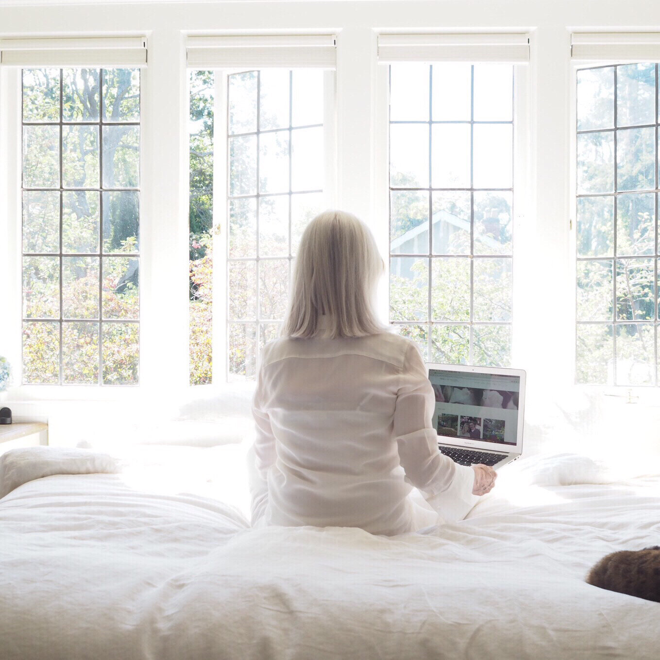 Moving house in the year of a global pandemic!