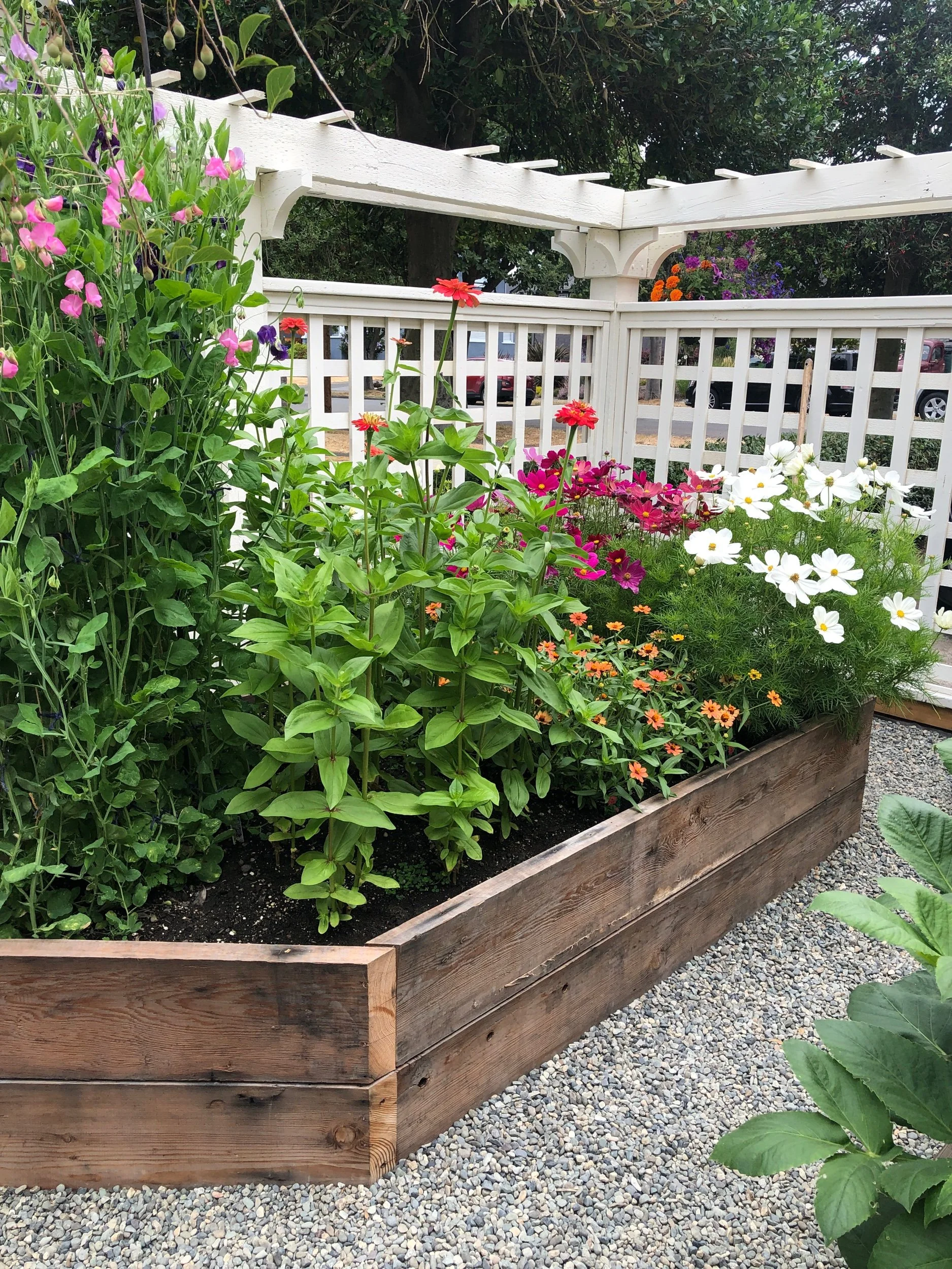 Transformation of our concrete driveway to my dream cutting garden🌸