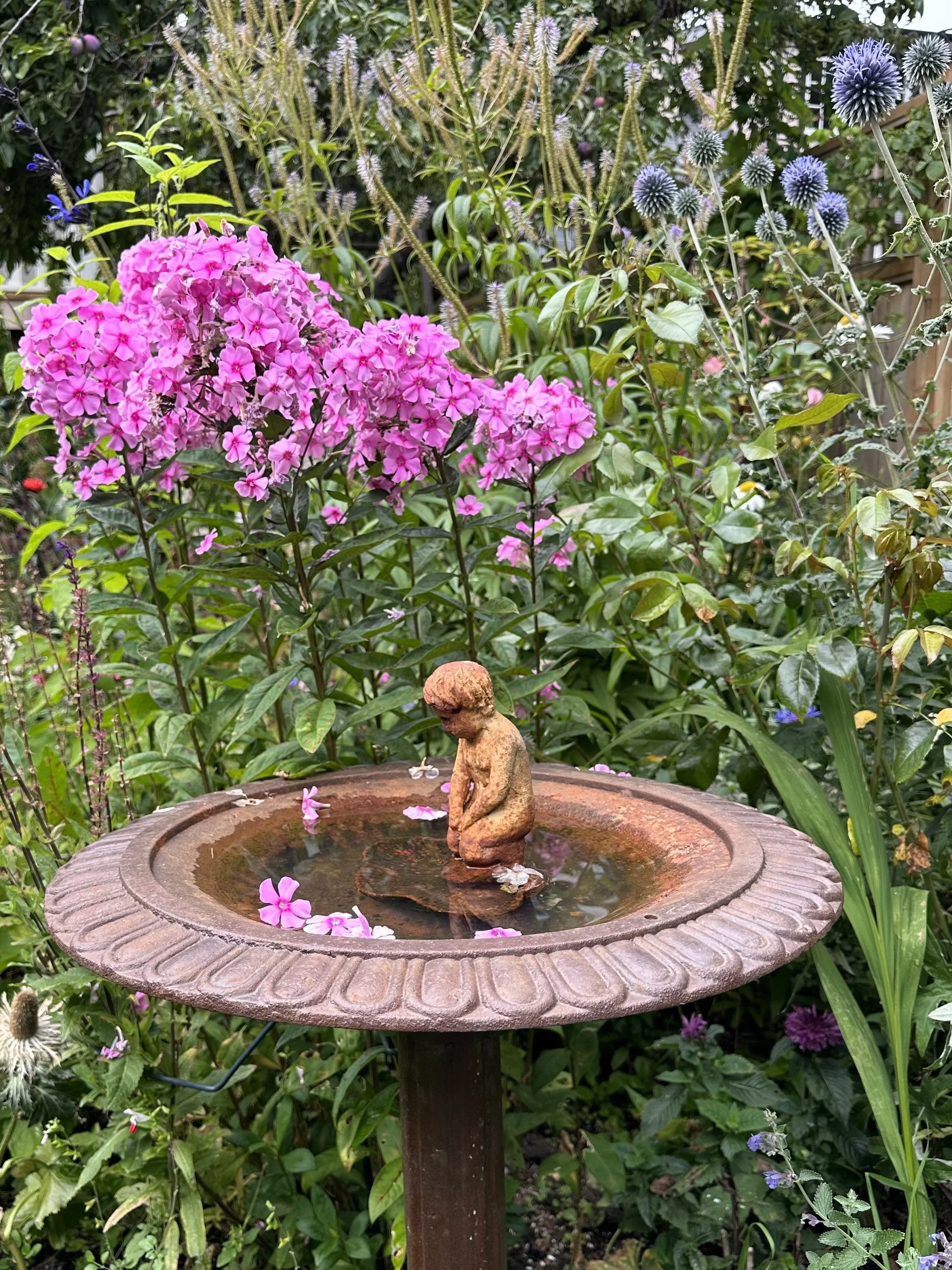 My mid summer garden.