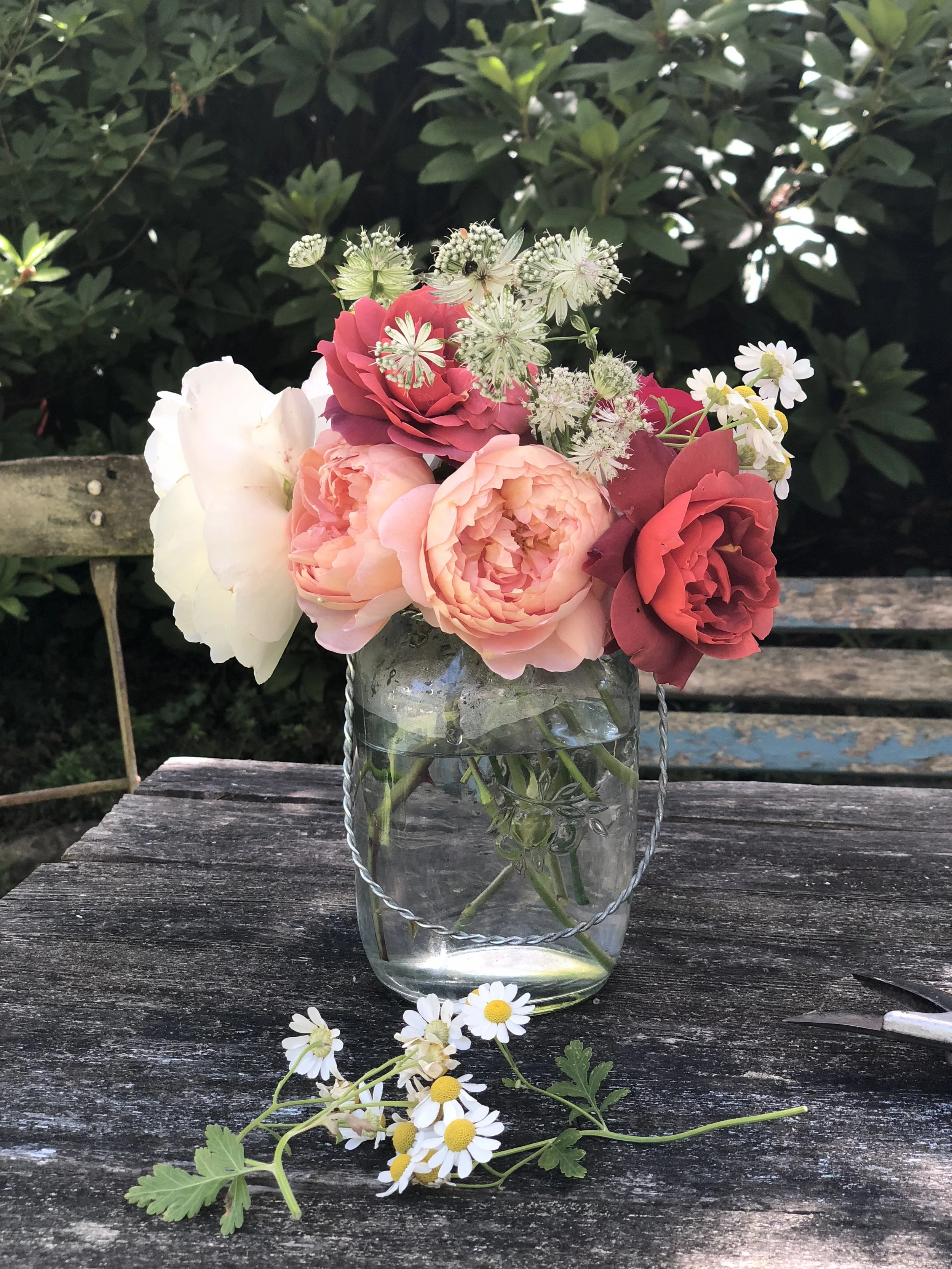 My fab four English roses