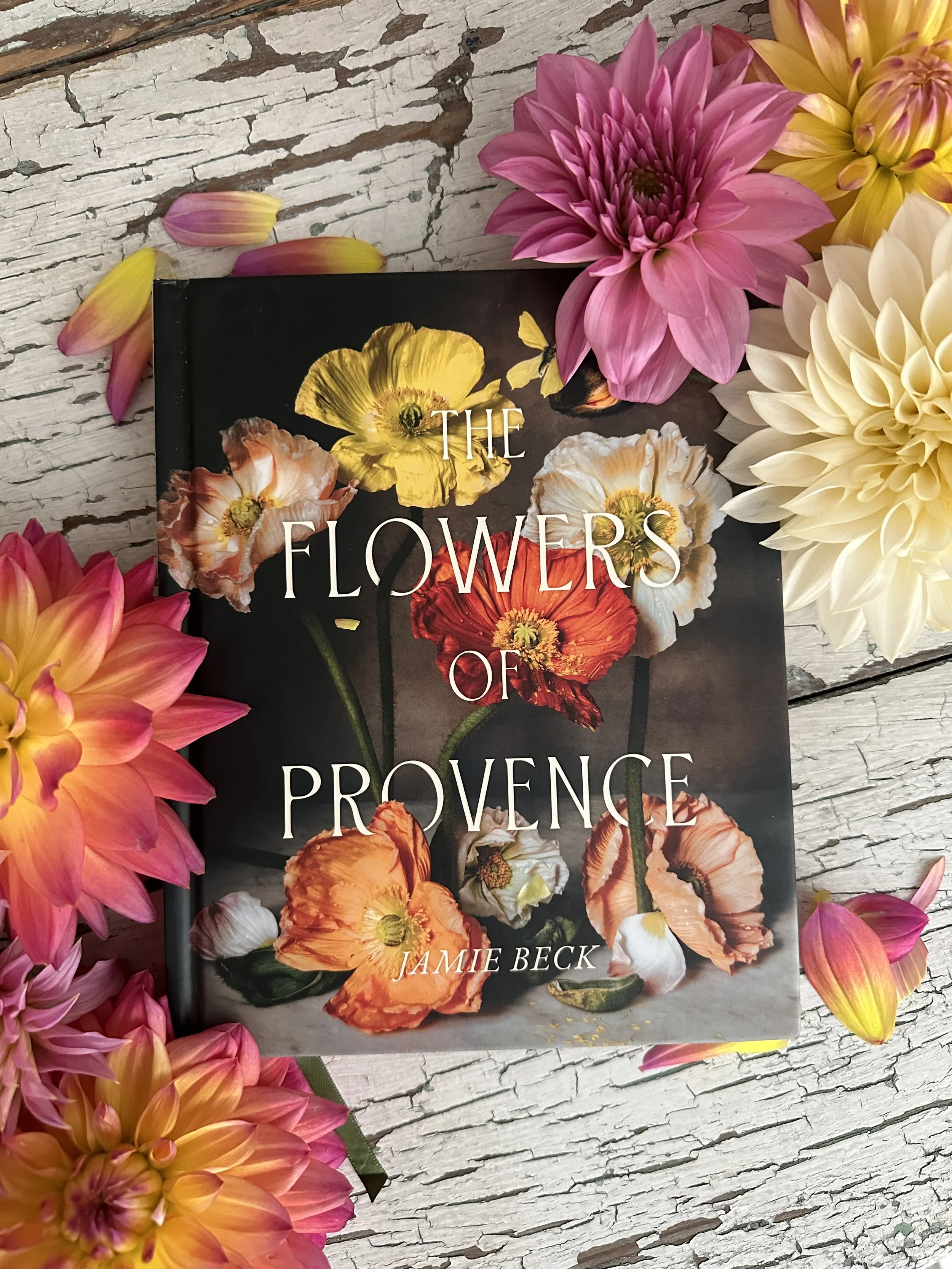 Stunning floral photography by Jamie Beck