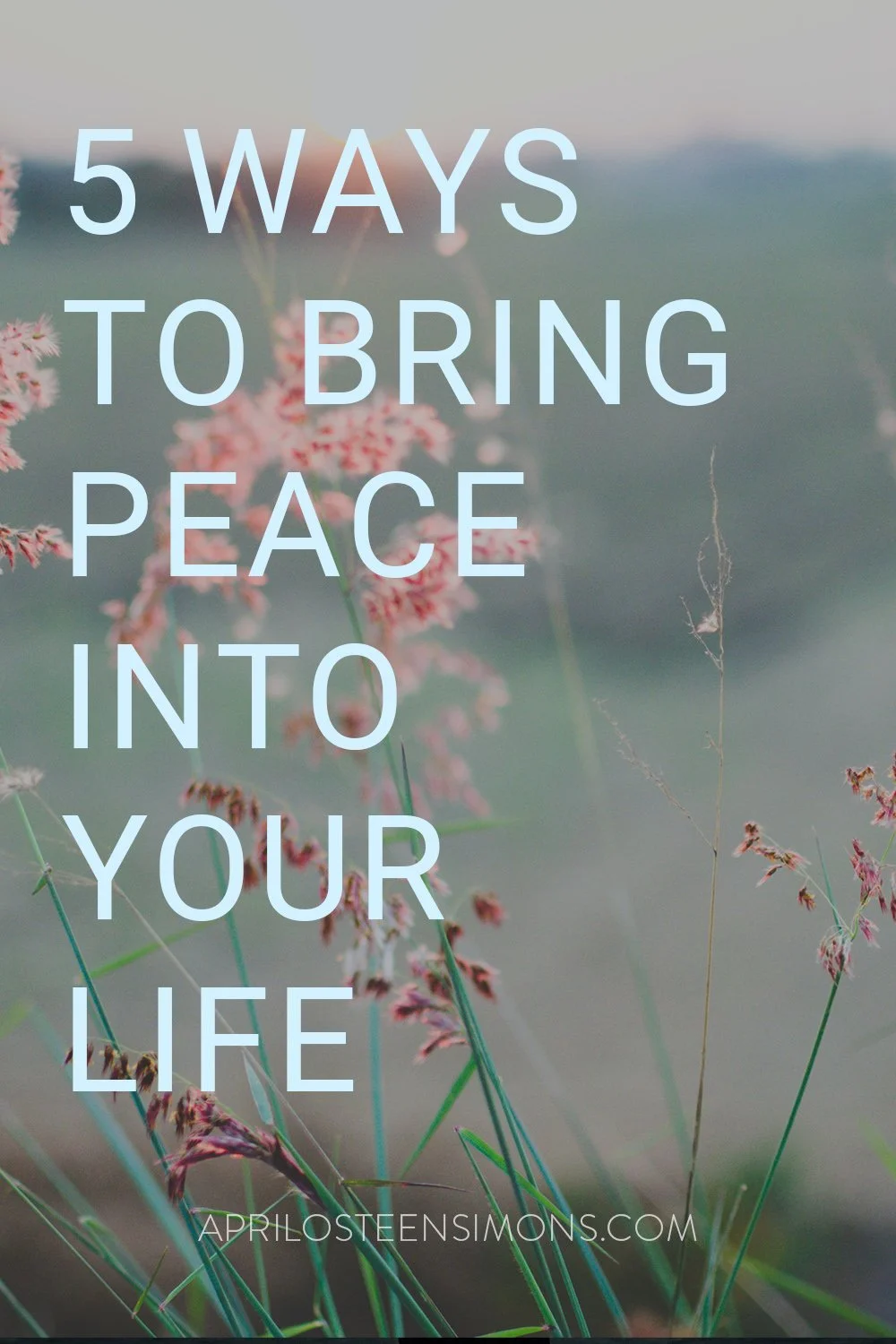 5 Ways to bring Peace into Your Life
