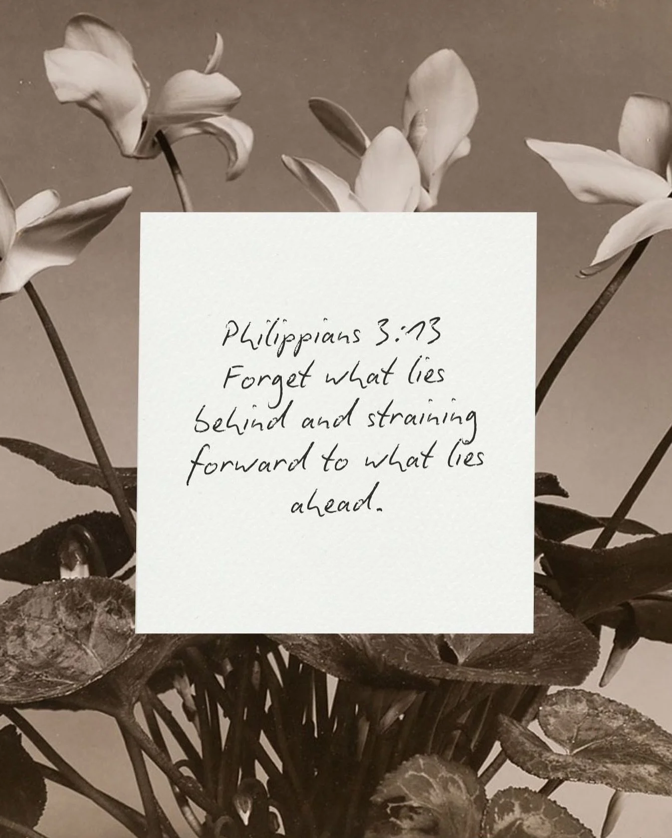 What&rsquo;s behind you can&rsquo;t compare to what&rsquo;s coming. Keep pressing forward and don&rsquo;t lose heart. God&rsquo;s not finished with your story. The best chapters are still being written.❤️