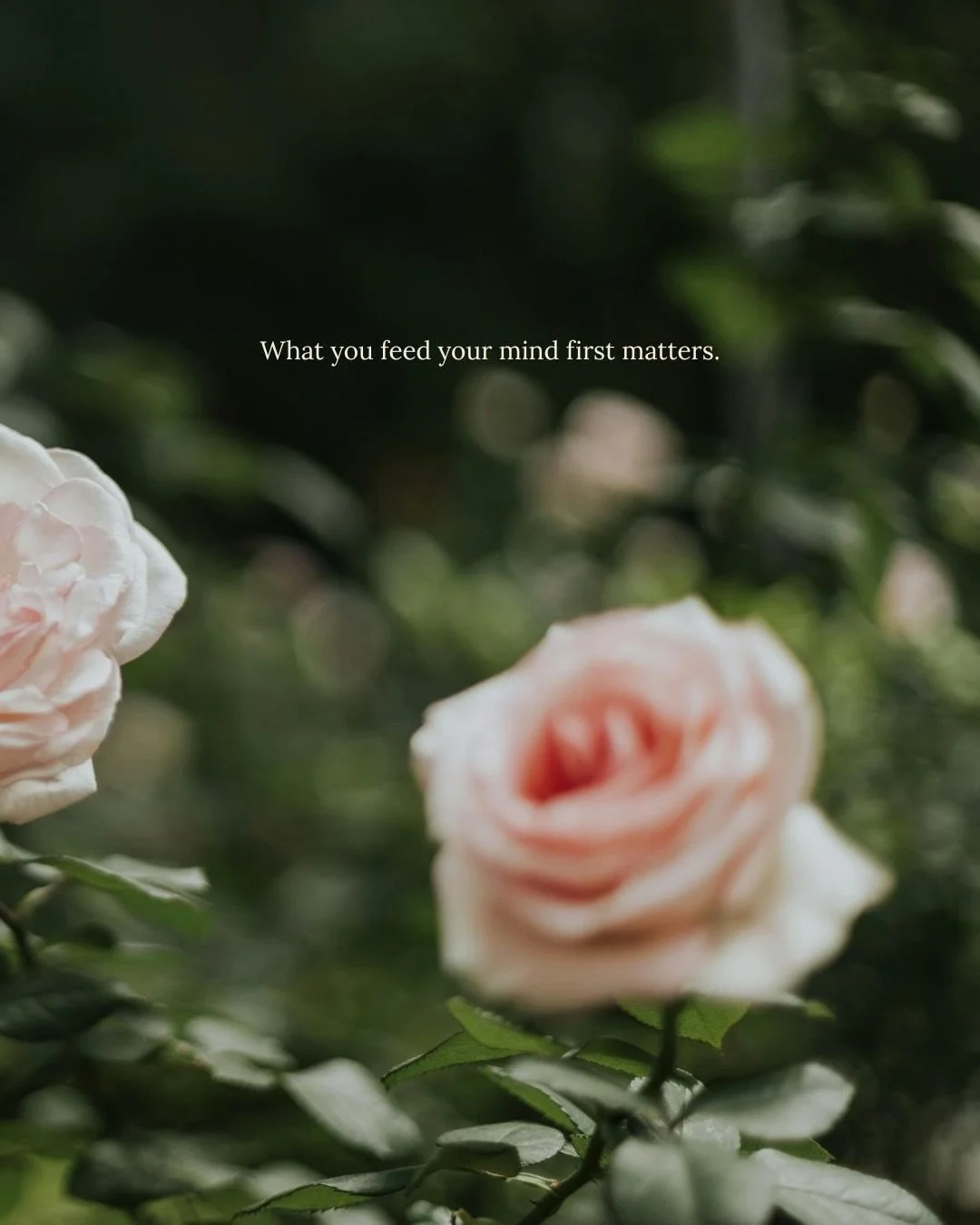 This is one of those small shifts that actually changes how your whole day feels.

I went a little deeper on it in this week&rsquo;s episode on YouTube.