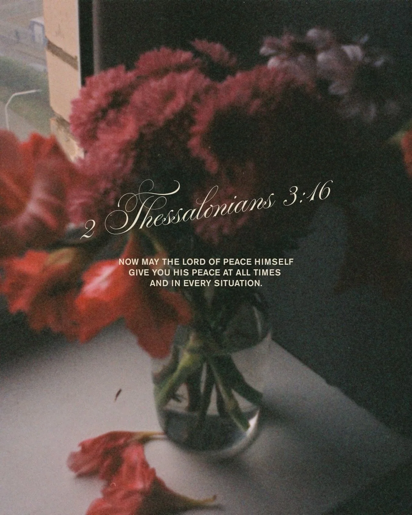 His Peace.❤️