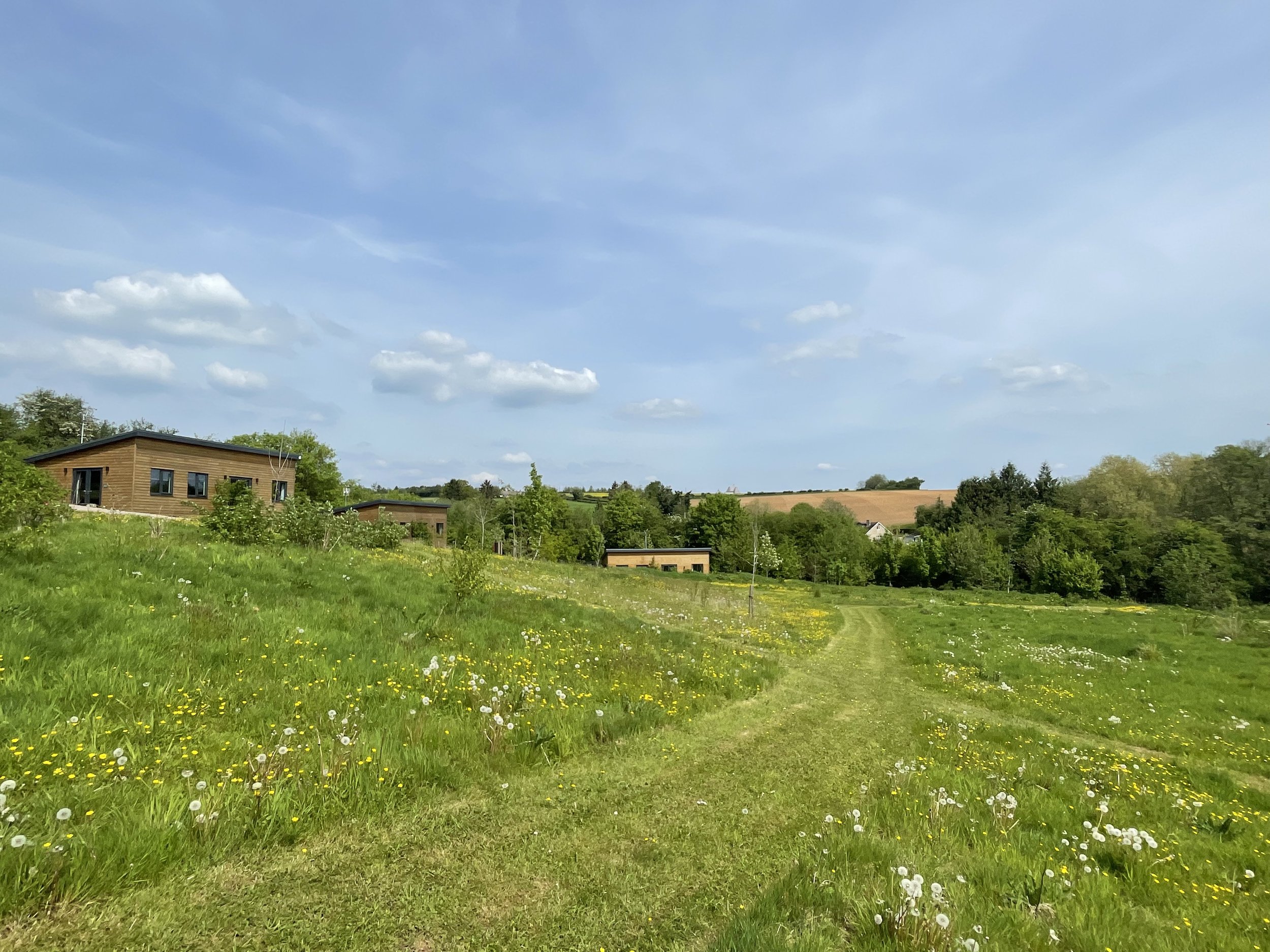 Lodges Field.jpg