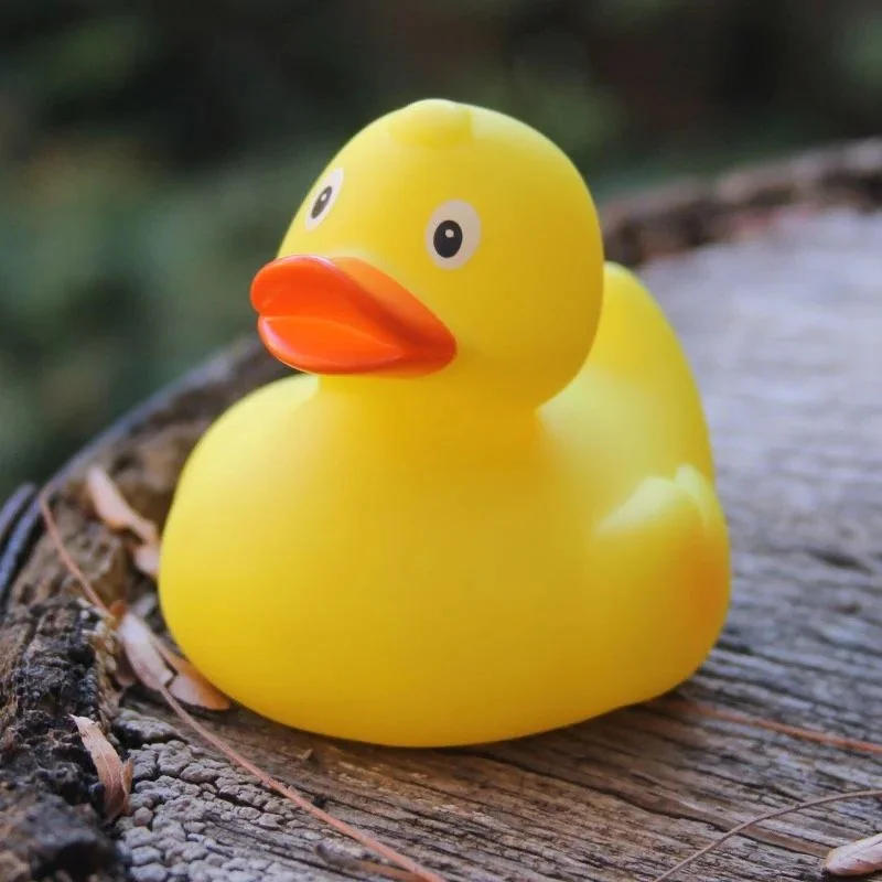 Yellow rubber duck on wooden surface