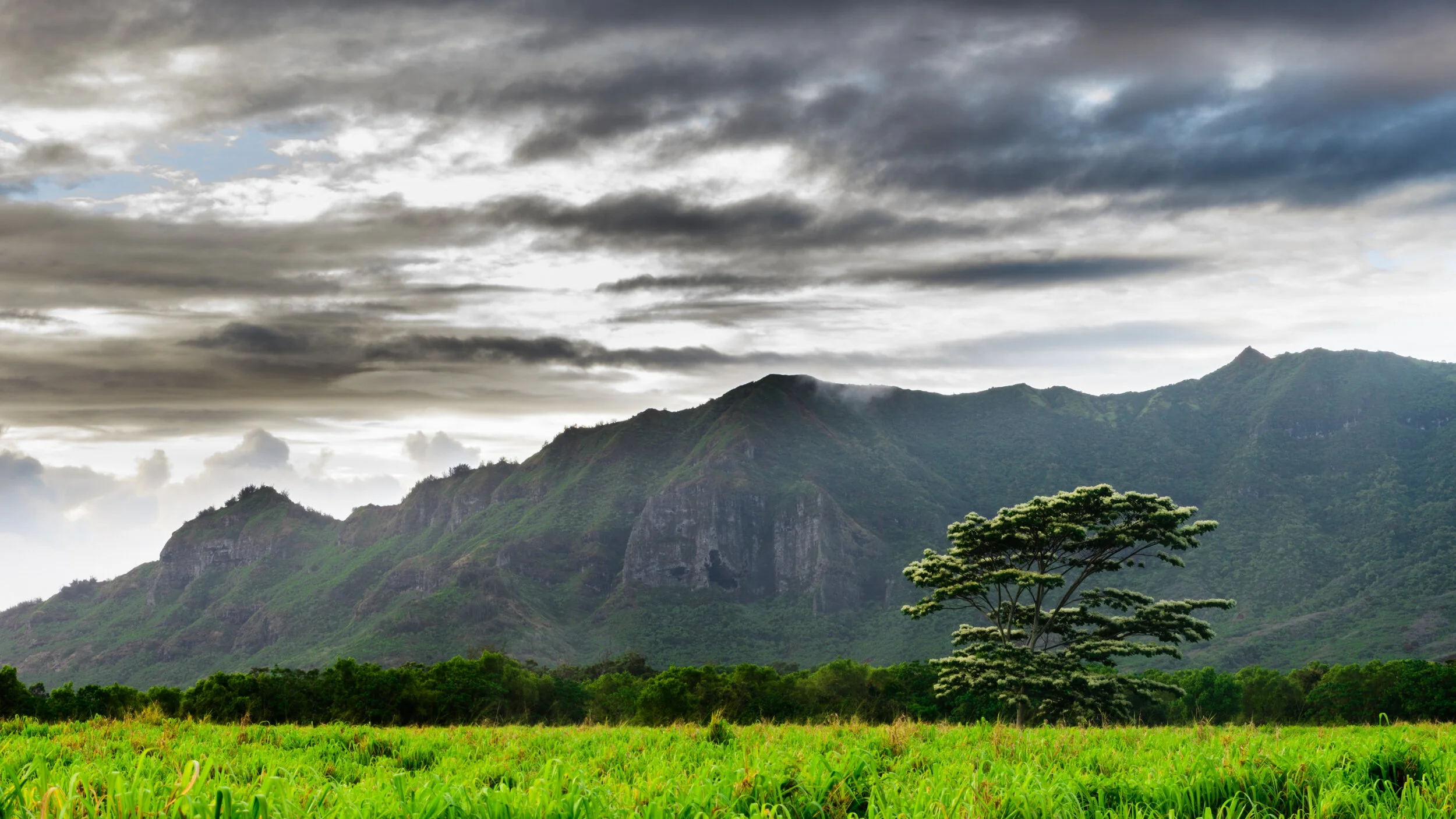 Kauai, Hawaii