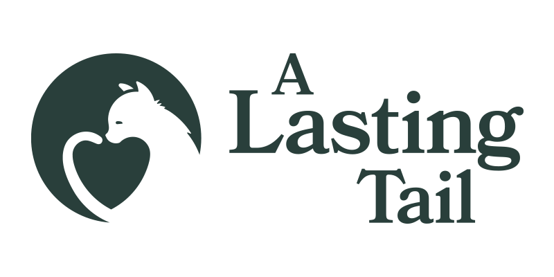 A Lasting Tail