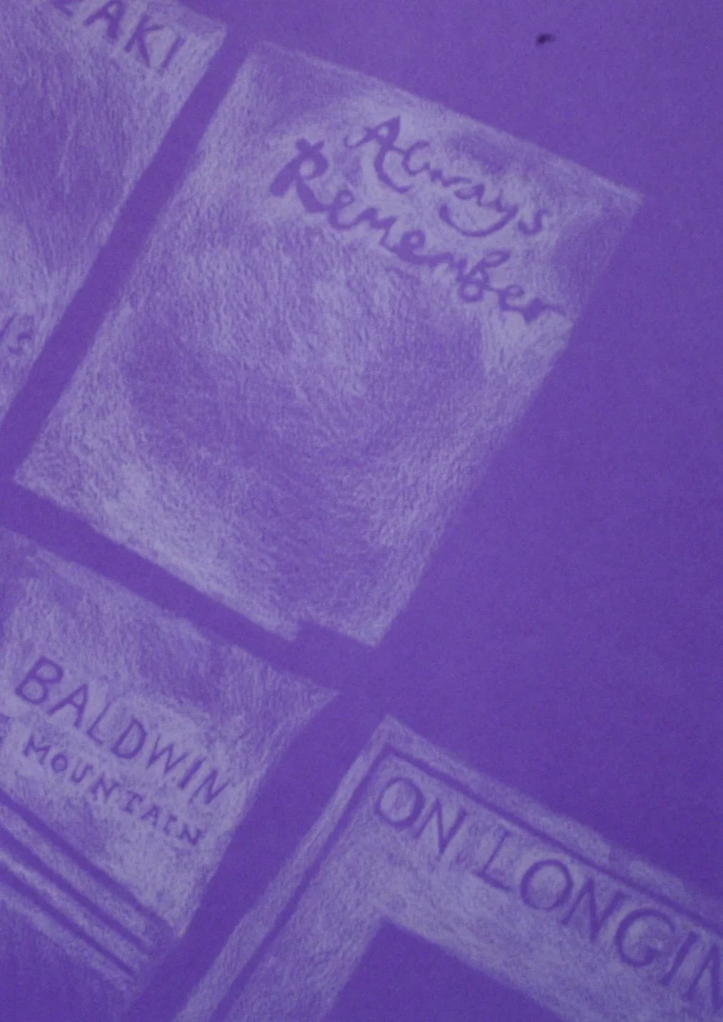 IMG_5240.jpg
