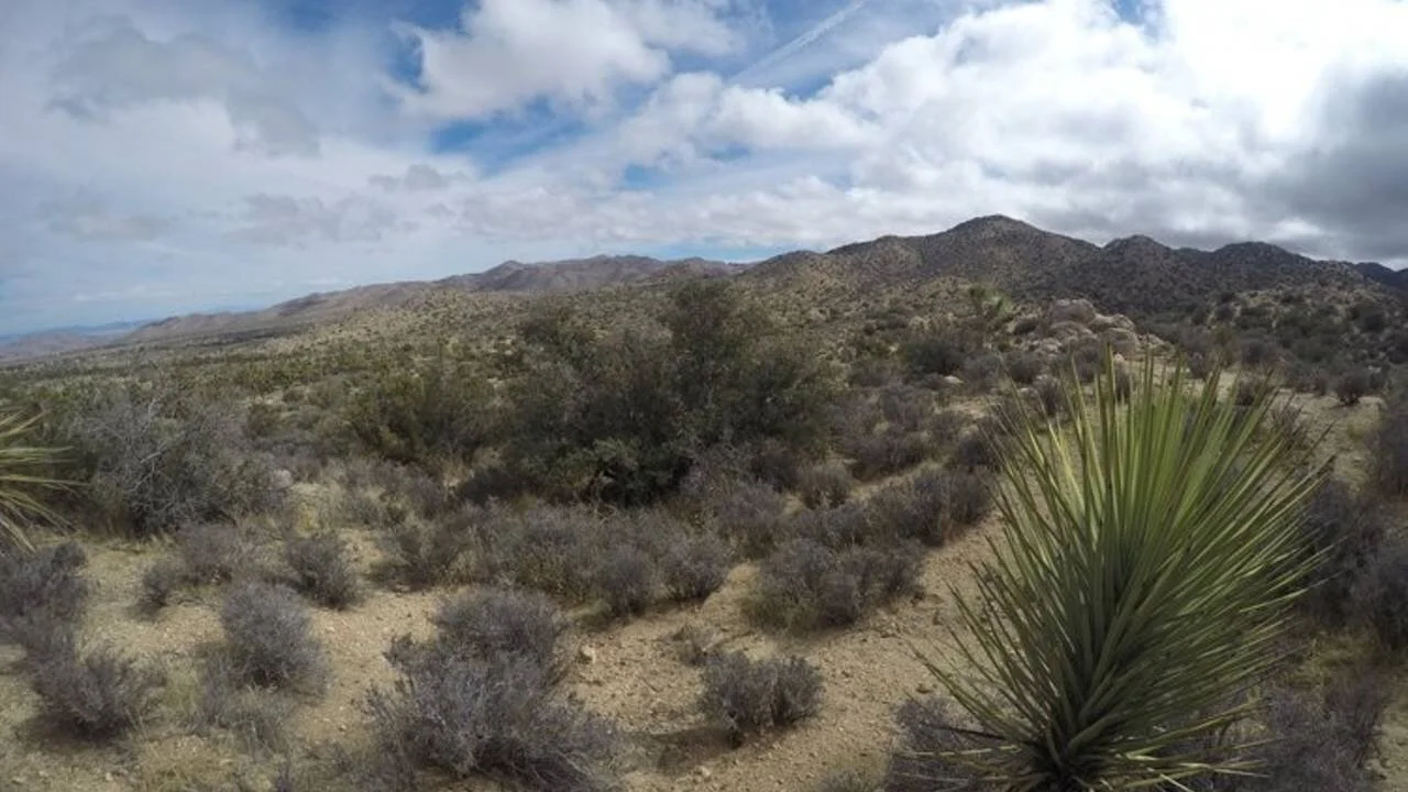 Making Friends with the Wind