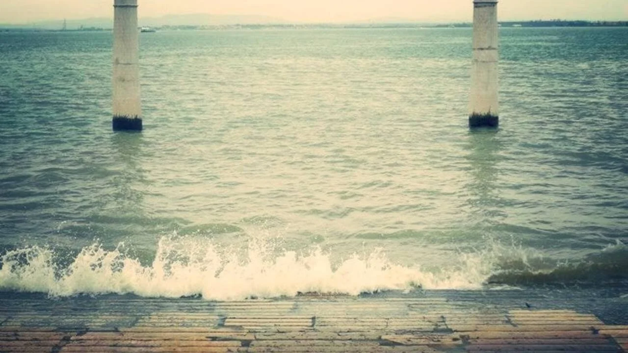 The Victim or The Player, Which Are You?