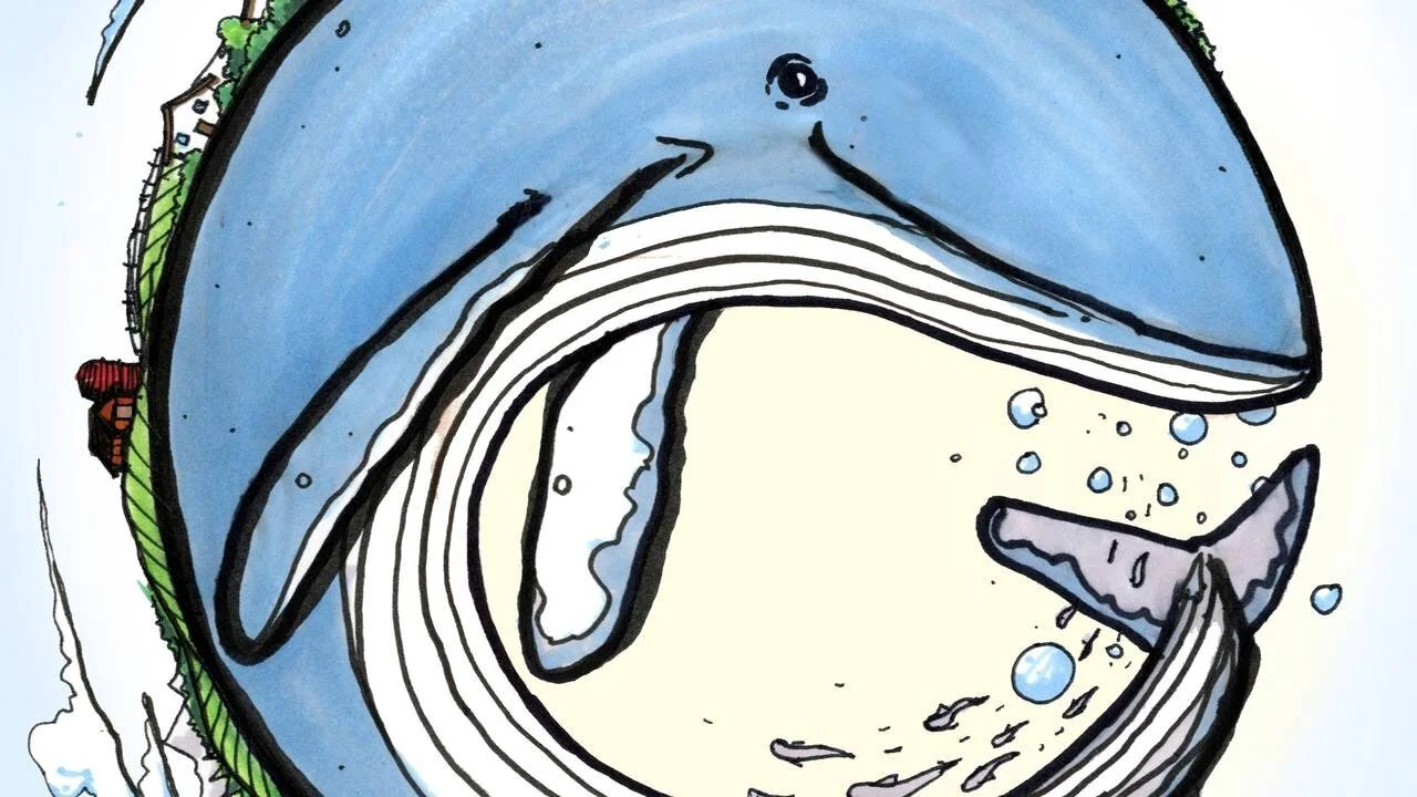 What's That You're Standing On?