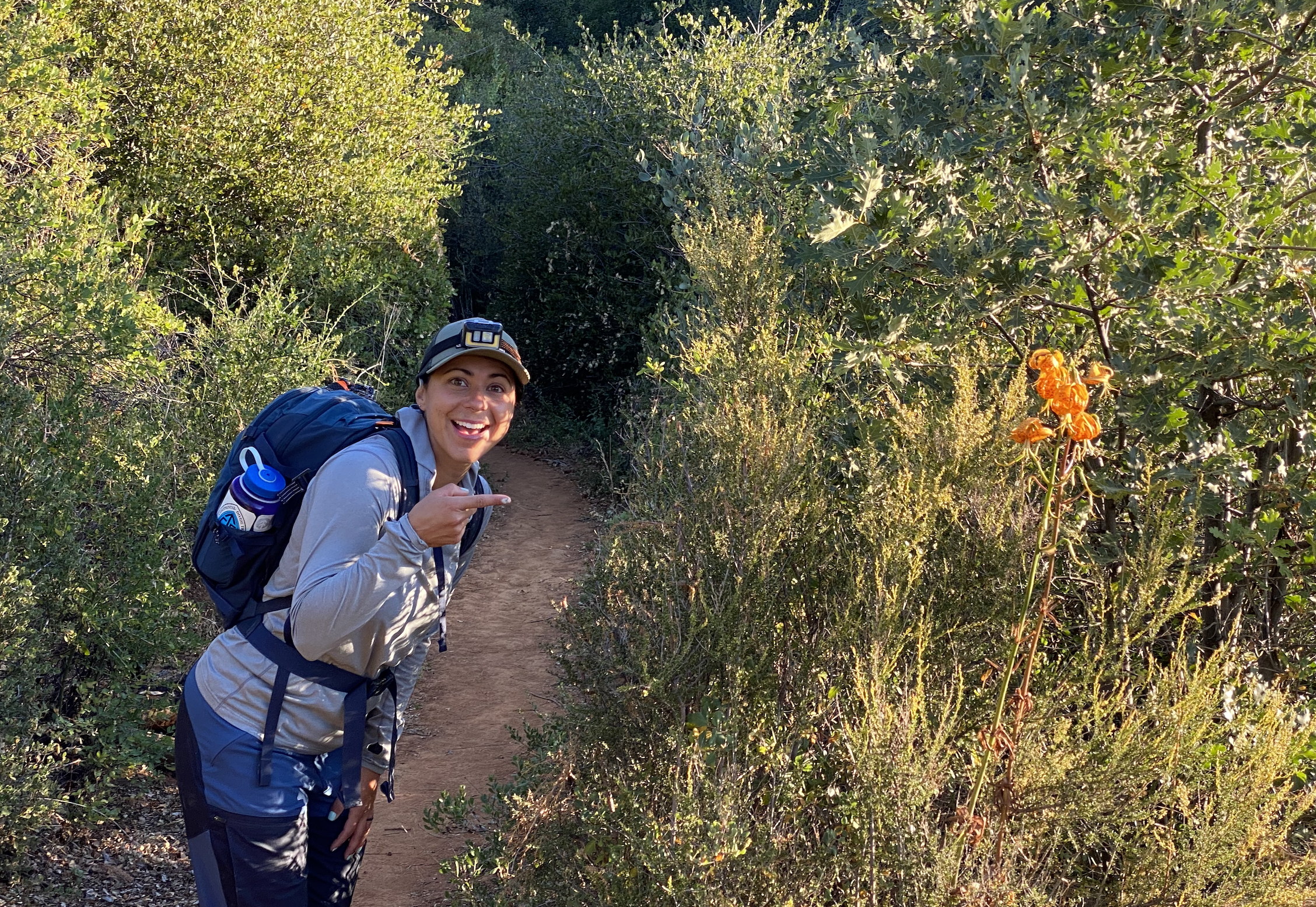 Wildflower Trail