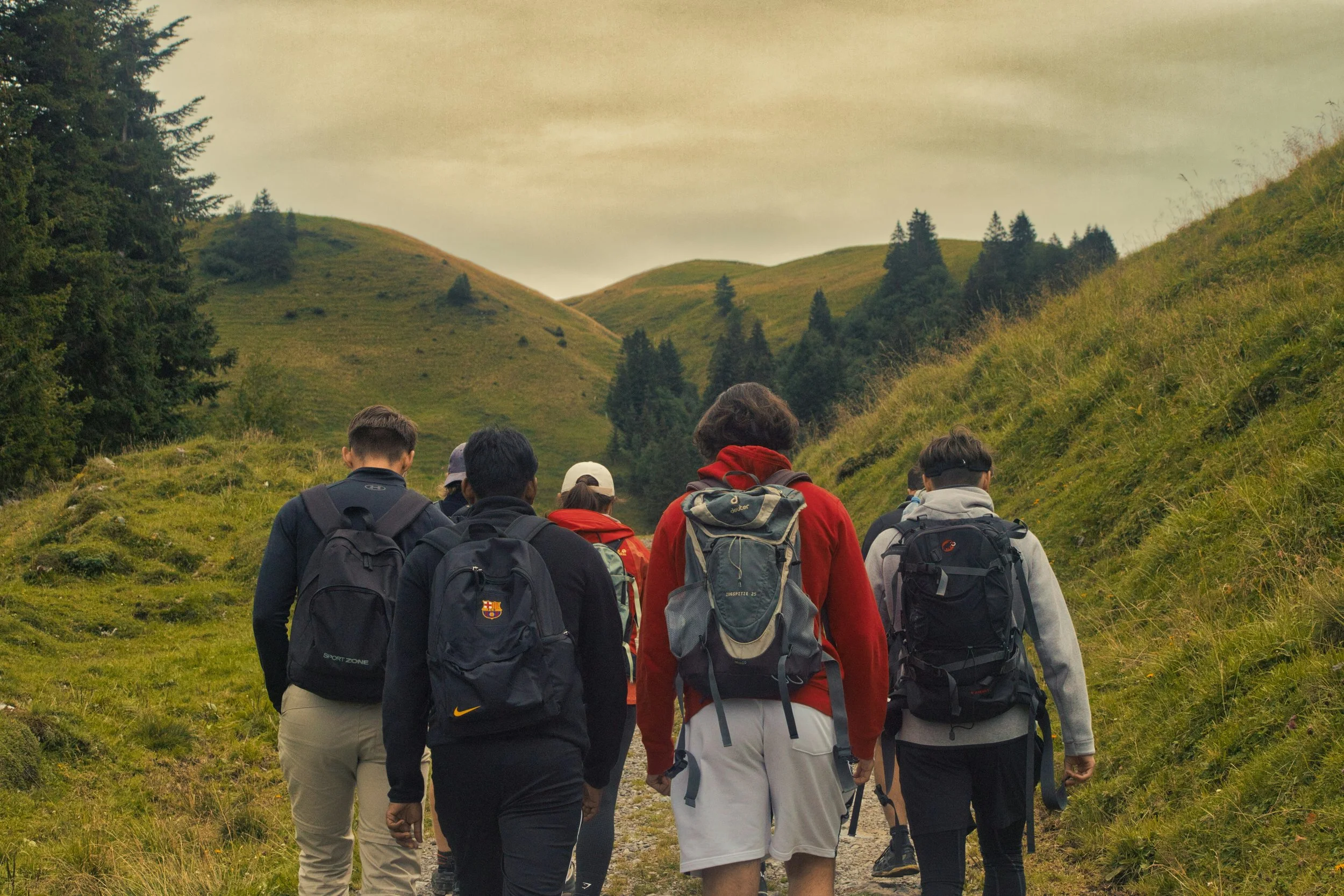 Group of people hiking on a trail in a green hilly landscape with trees and grass under a cloudy sky.