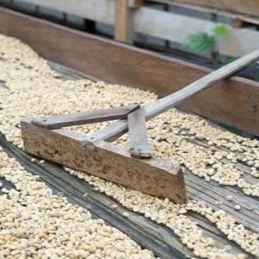 Cafe_Imports_Sumatra_Pantan_Musara_Asman_Mill-3-2023-03-03-154630.jpg