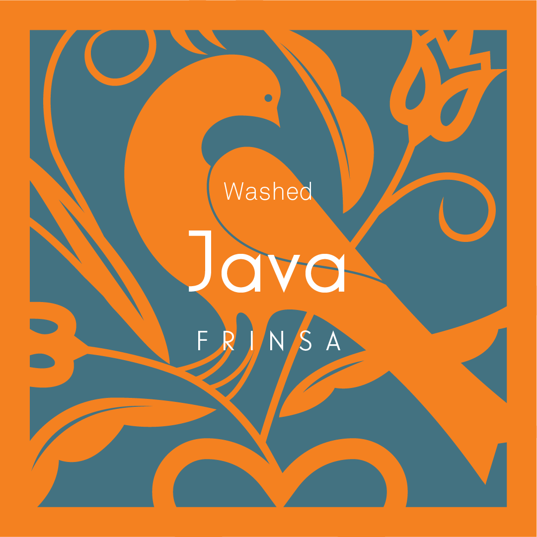 java-frinsa2.png