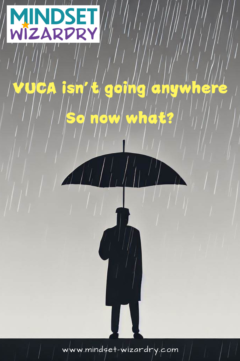 VUCA Isn’t Going Anywhere — So Now What?